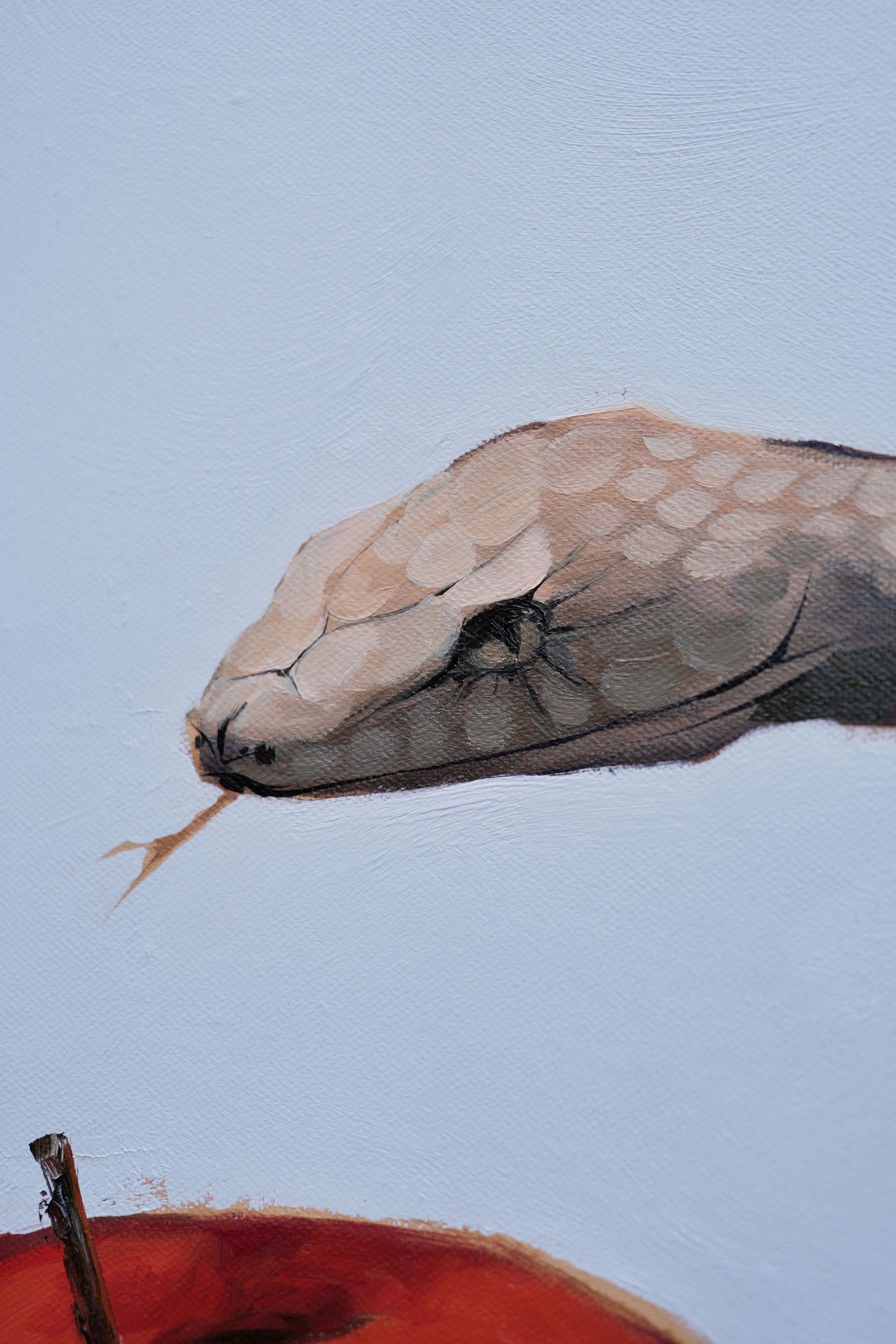 Close-up of the pale snake's scaled head with a flicking tongue above the apple, detail of Sagwa by Marina Ogai