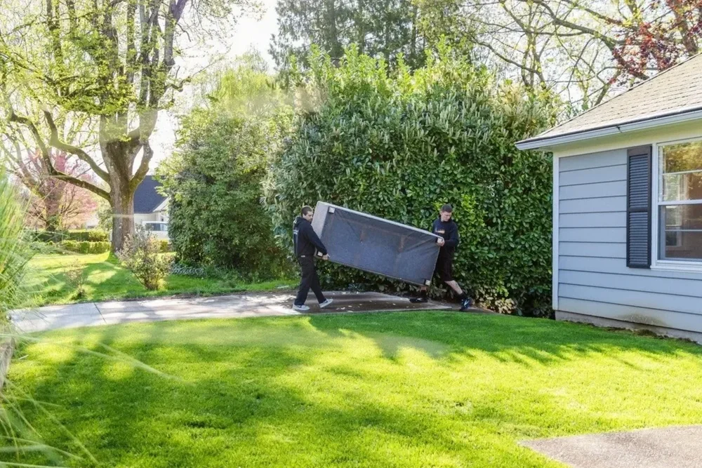 Two movers carrying a padded sofa across a lawn, move in Woodburn