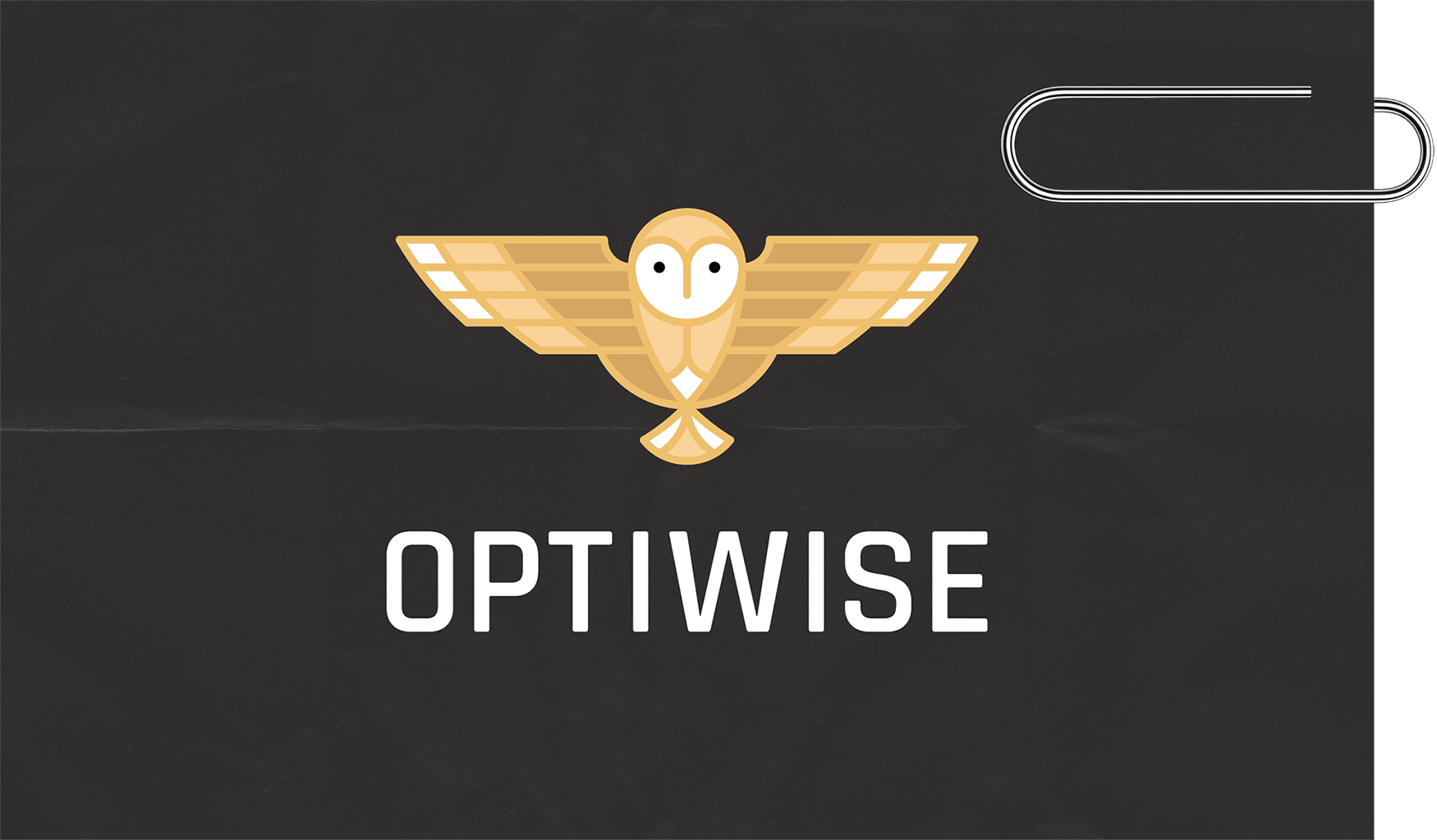 Optiwise Business Card