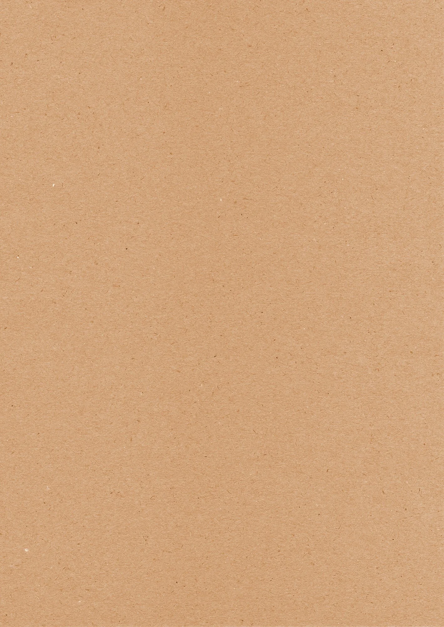 Kraft info card - case file contents
