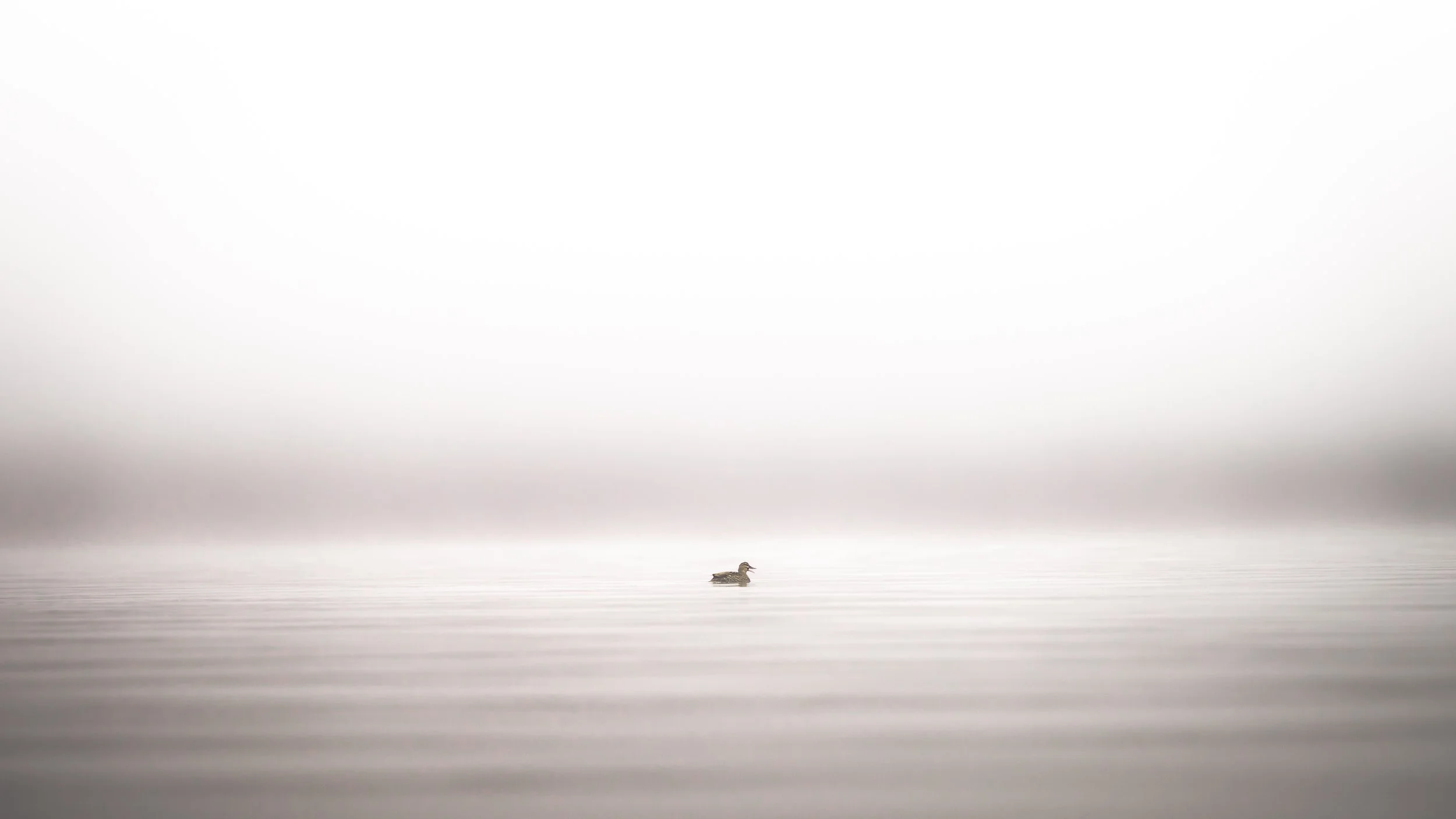 Serenity