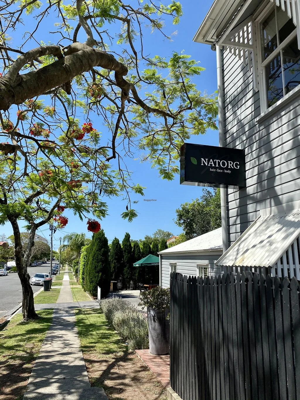 Street view showing a sidewalk, a tree with red flowers, a white house with gray siding, a black fence, and a sign that reads 'NATORG hair face body' under a blue sky.