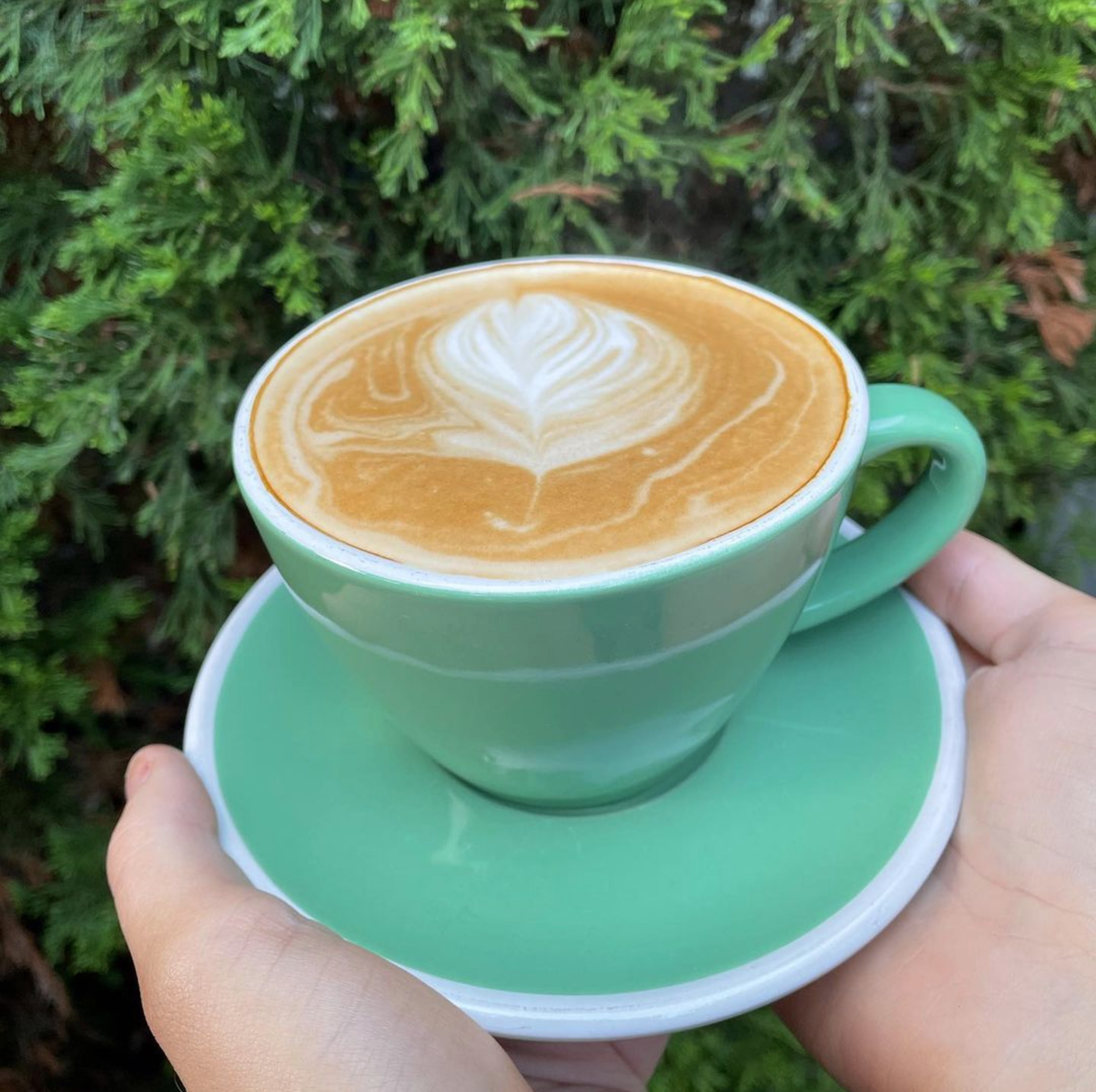 A person holding a green mug filled with latte art, featuring a rose pattern on the foam, against a background of green shrubbery.