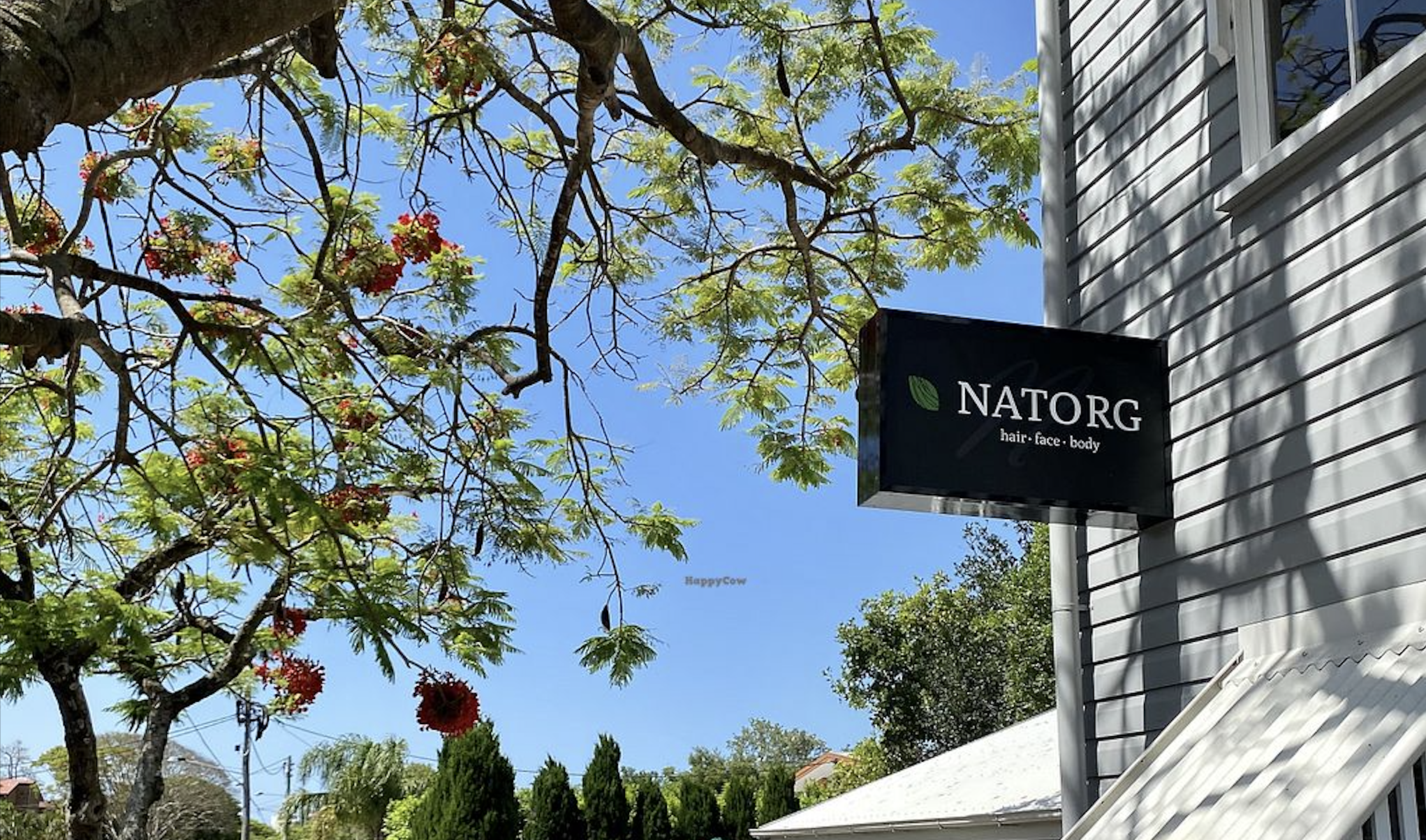 A view of a tree with green and pink flowers, a blue sky, and part of a building with a black sign that reads 'NATORG hair face body' on a white exterior wall.