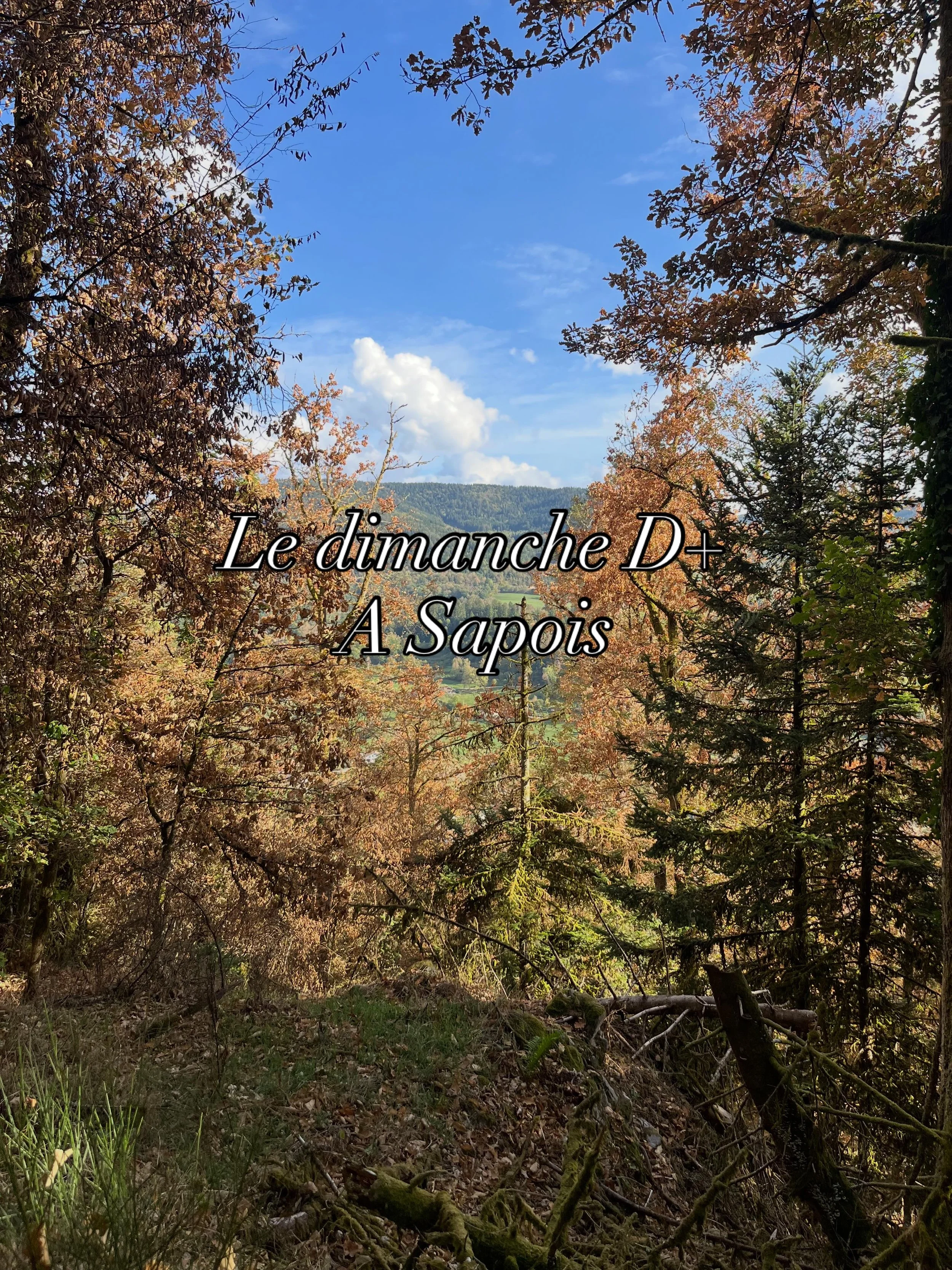 4 km. 400 m de D+.

Sur le papier, &ccedil;a para&icirc;t presque ridicule.
Sur le terrain des Vosges&hellip; beaucoup moins. 🌲⛰️

Les couleurs sont magnifiques, le terrain est exigeant, et chaque mont&eacute;e rappelle une chose : le d&eacute;nivel