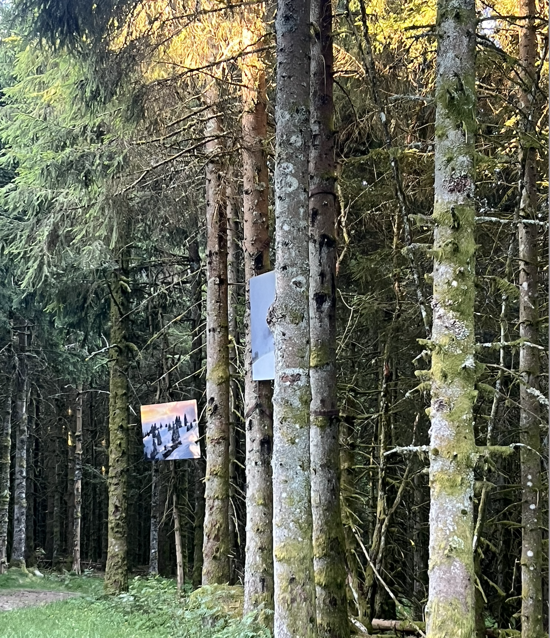 Découverte Geradmer