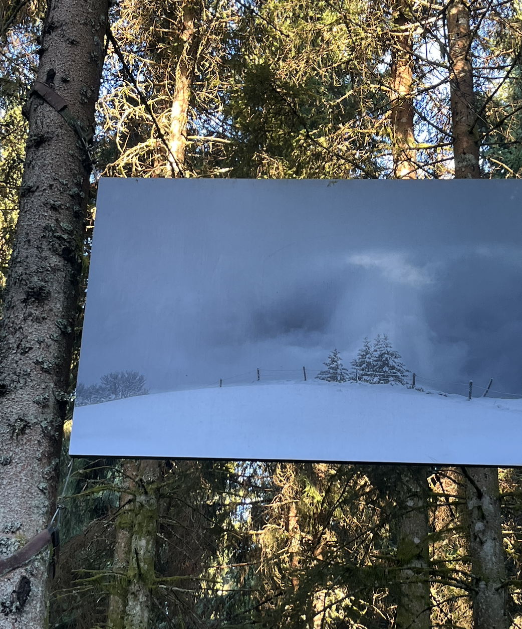 oeuvre gerardmer.png