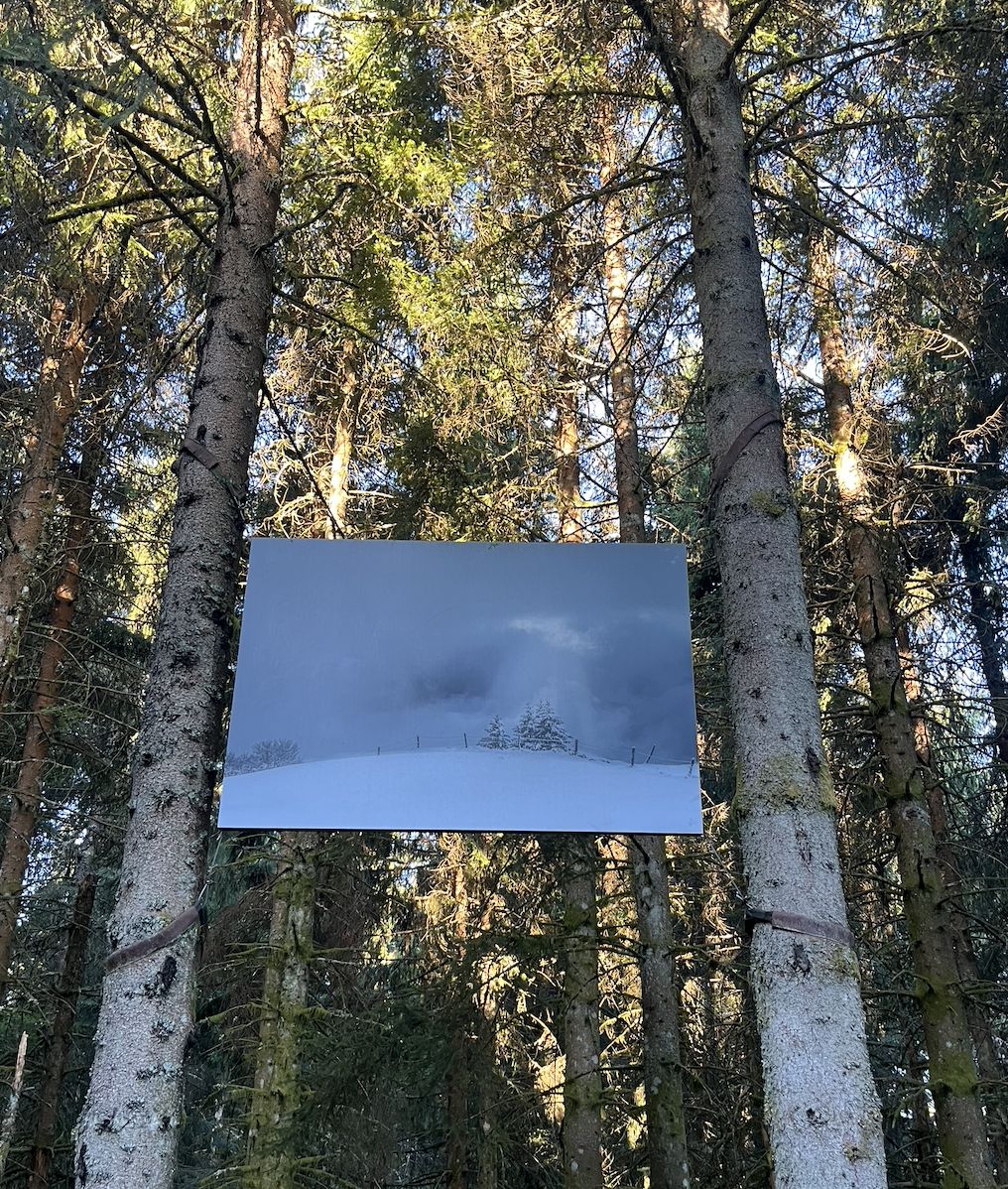 bois gerardmer.png