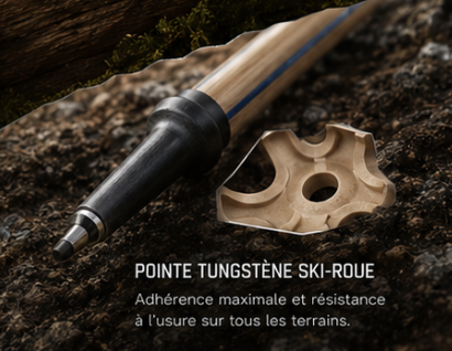 Pointe PRO Vosges.png