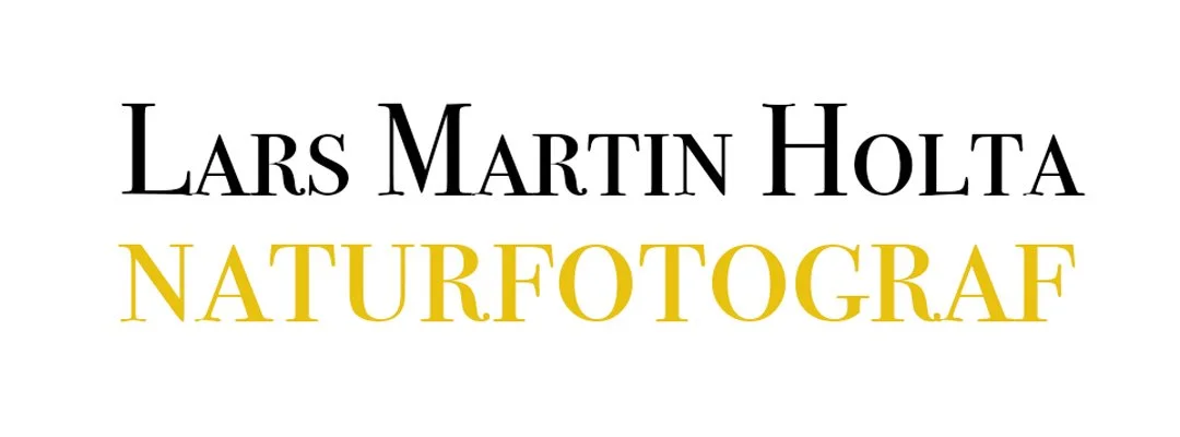 Your Site Title
