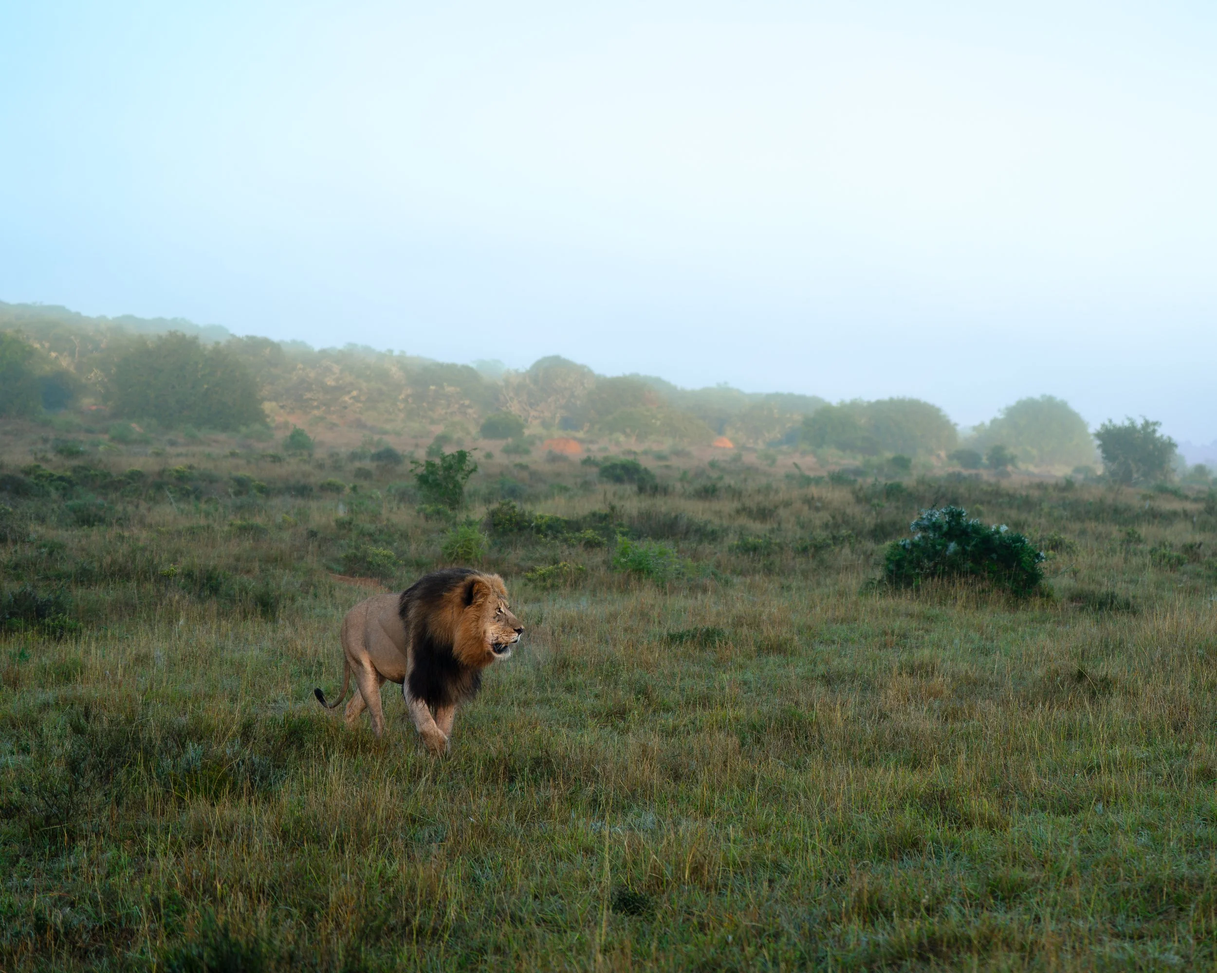 DSC05322-Forbedret-NR.jpg
