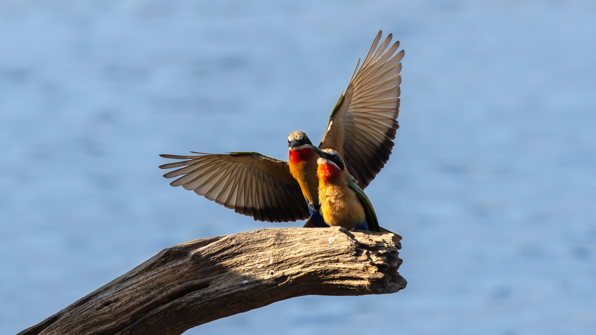 DSC05906-2.jpg