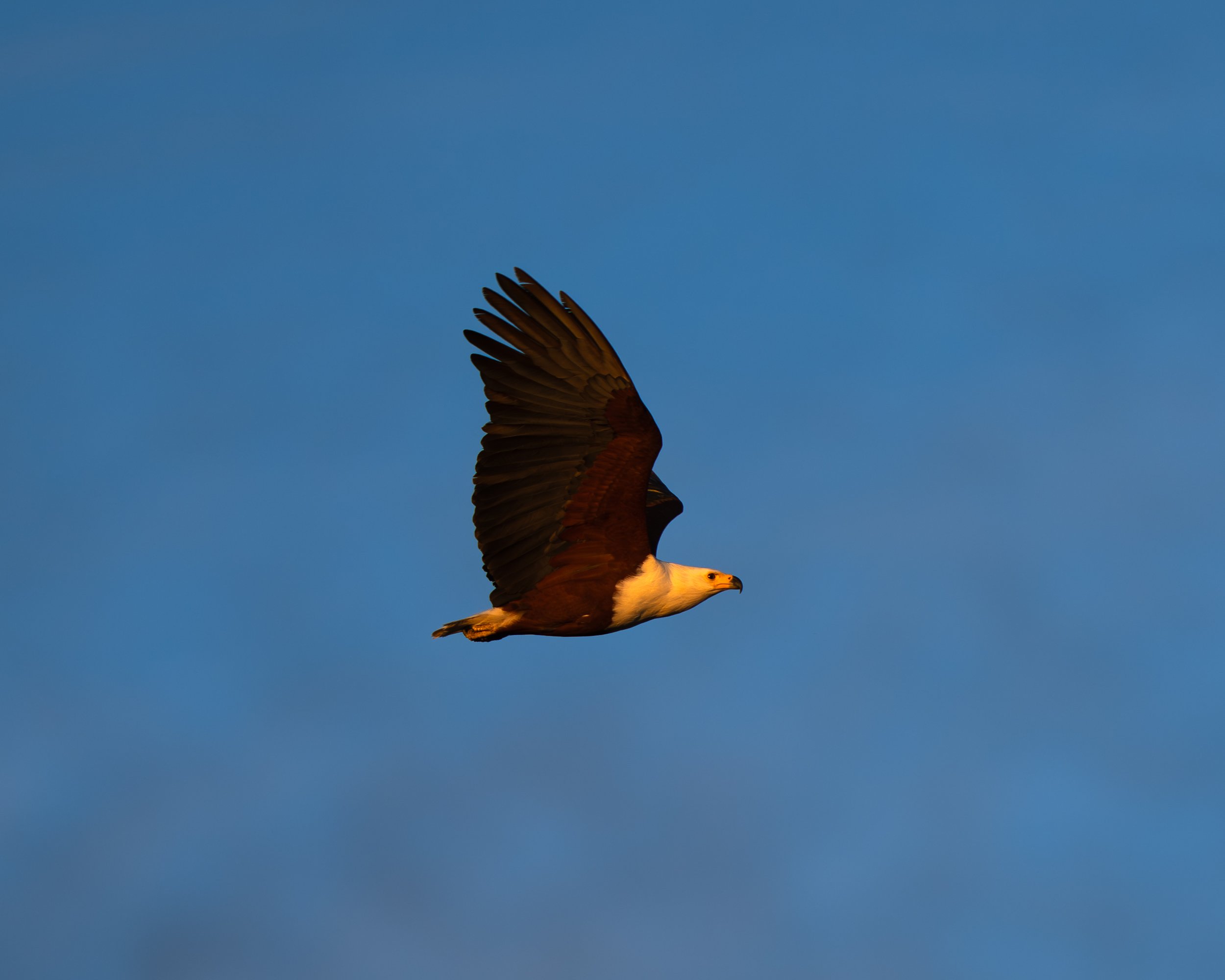 DSC06259-kopi.jpg