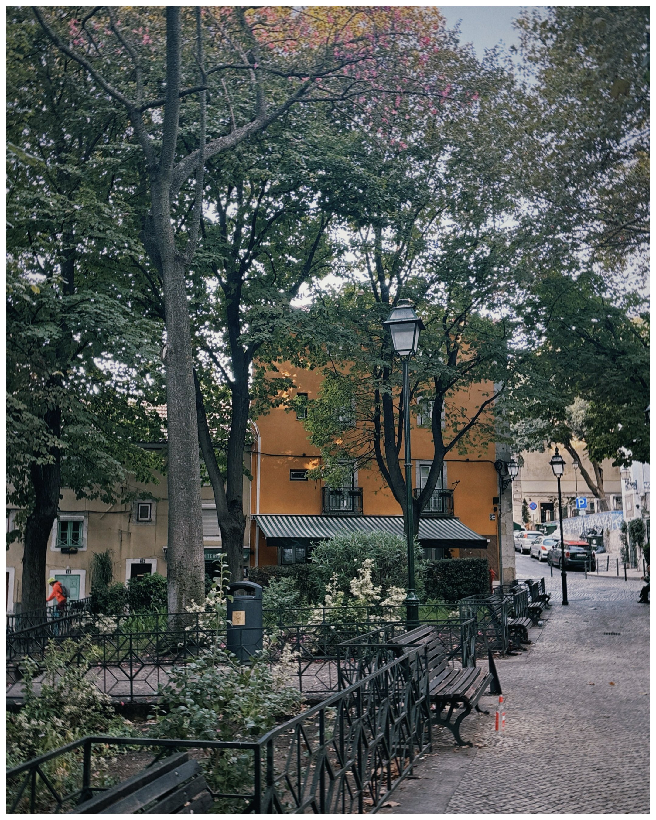 SCRL_0106 2.JPG