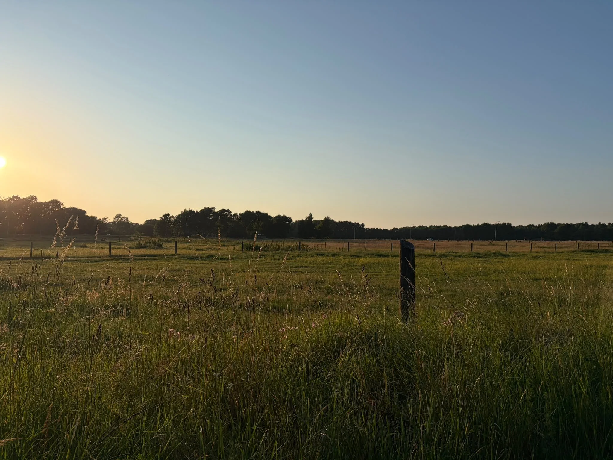 Poem: The train ride 