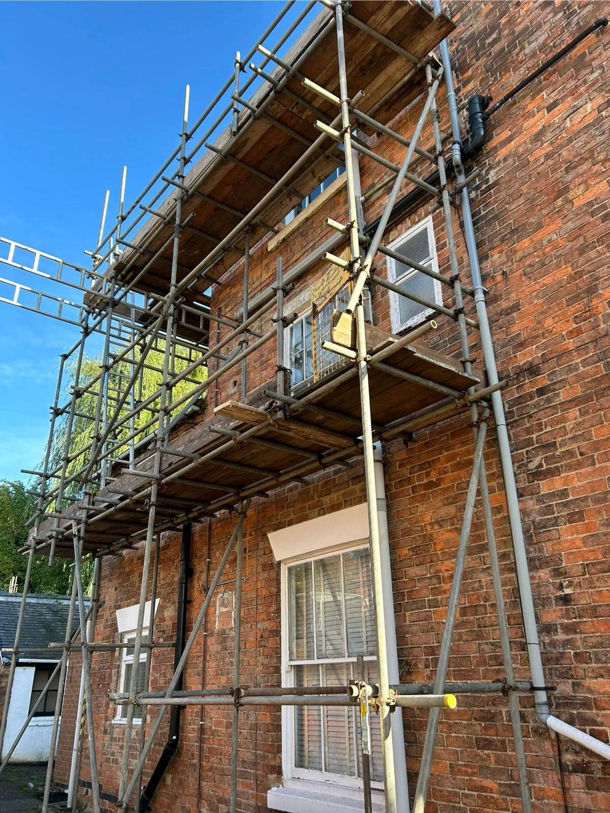 Scaffolding set up outside a brick house with two windows, one on each floor, and a tree in the background.