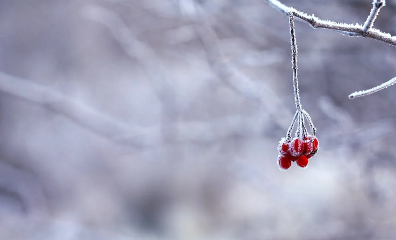 How to Prepare a Furnace for Winter