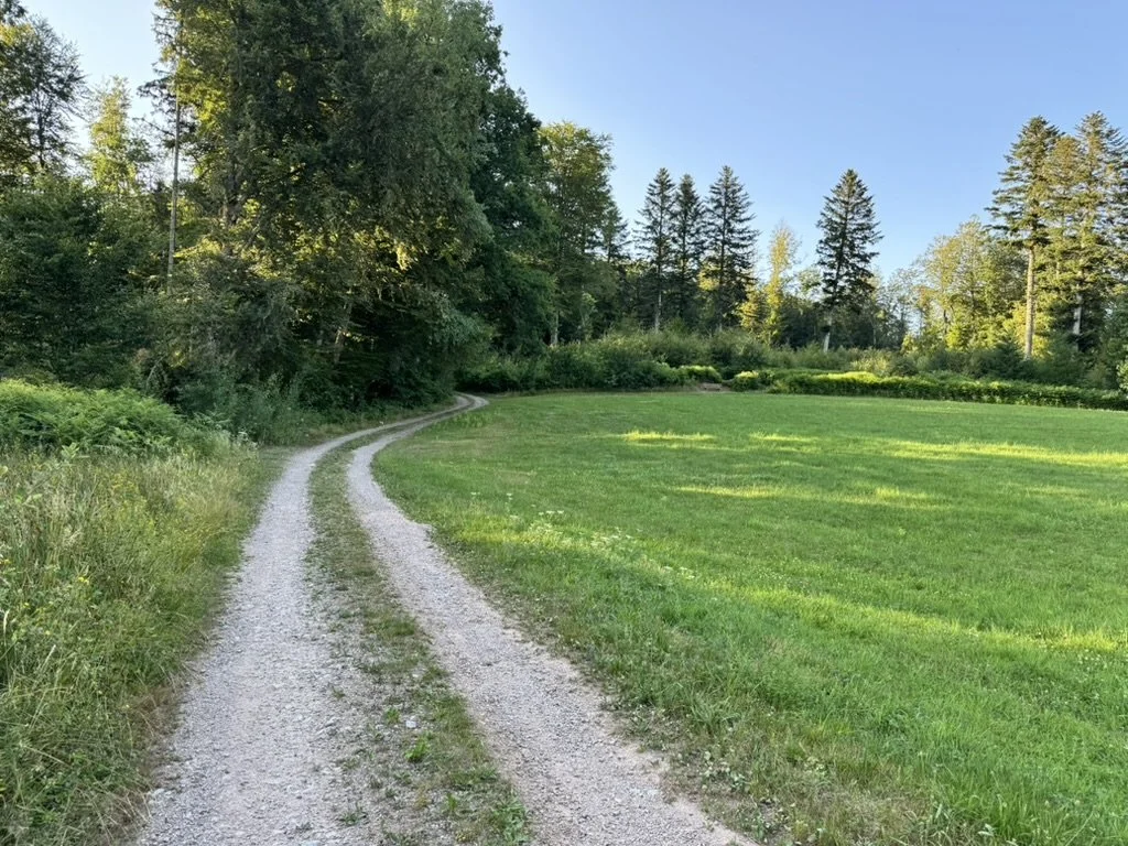 Ein ländlicher Pfad aus Schotter, der durch eine grüne Wiese und an Bäumen vorbeiführt, bei sonnigem Himmel.