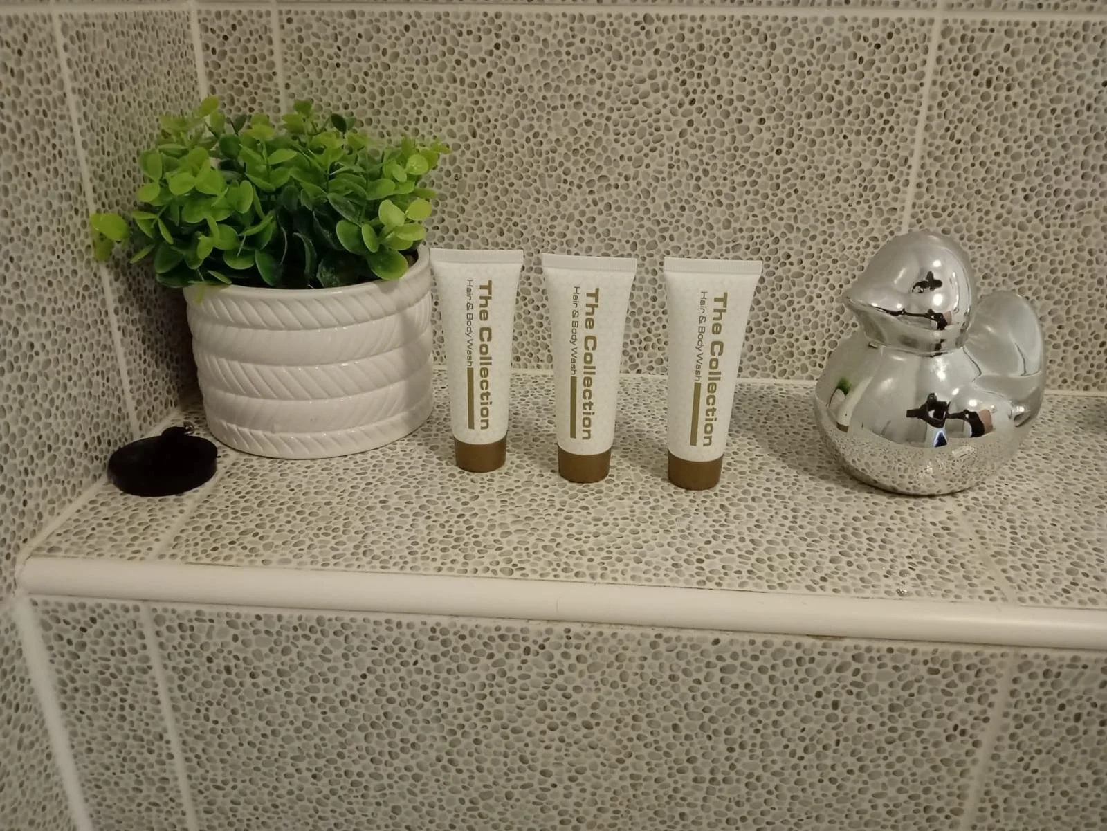 WhatsApp Image 2026-07-16 at 22.06.16.jpeg