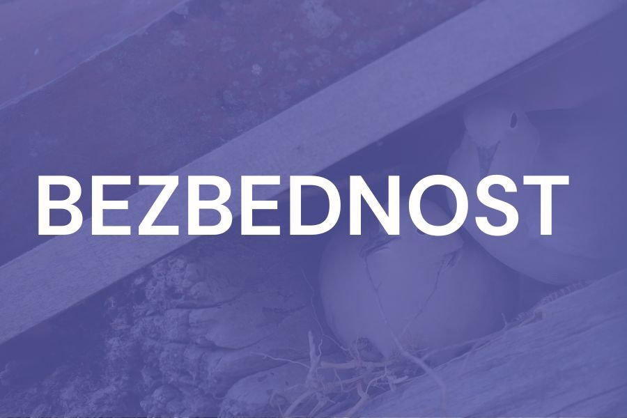 U riziku od nasilja