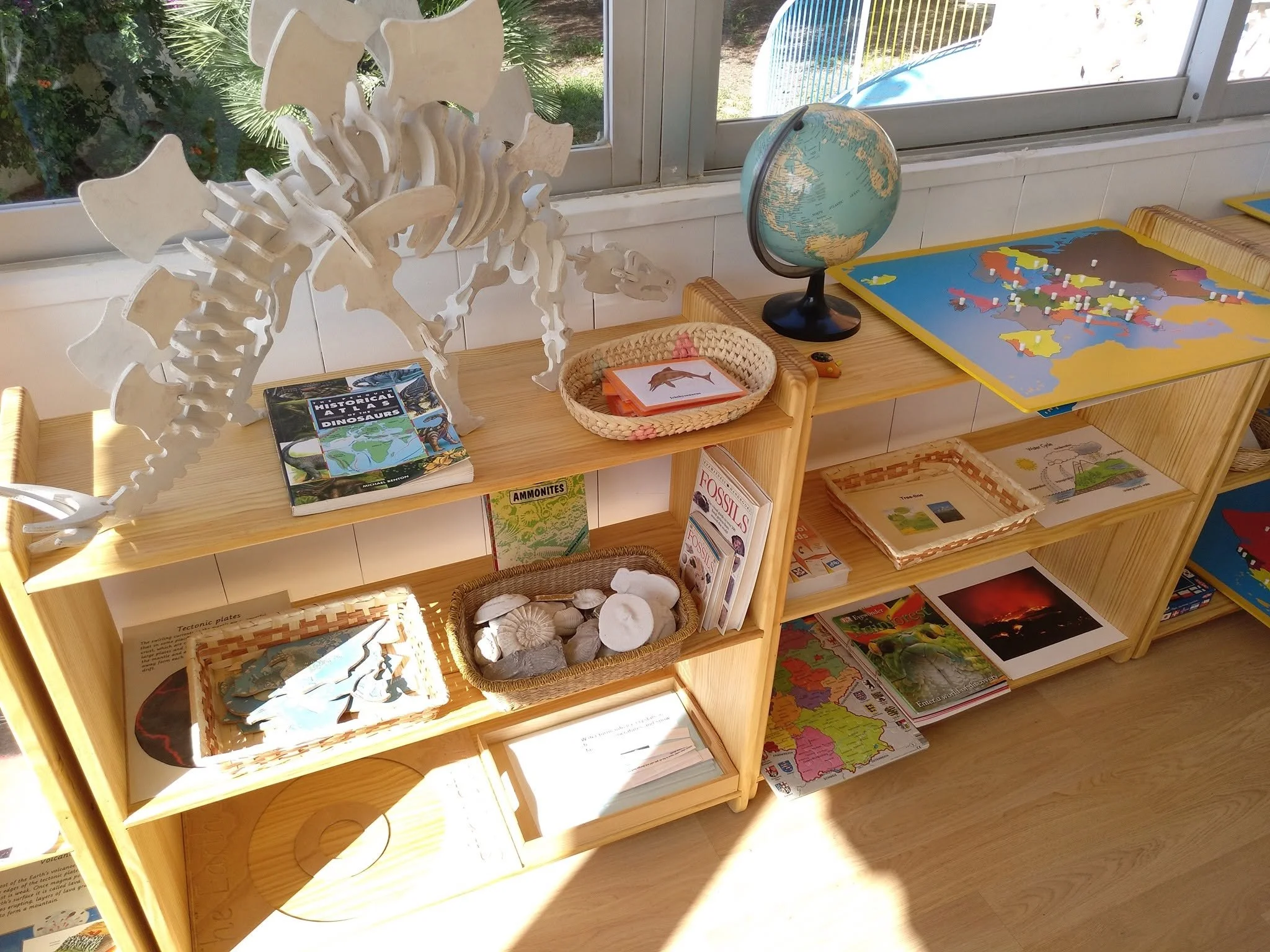 A classroom shelf with educational materials, including a globe, books about dinosaurs and fossils, a map of the United States, and a colorful puzzle map of Europe, under a window with sunlight.