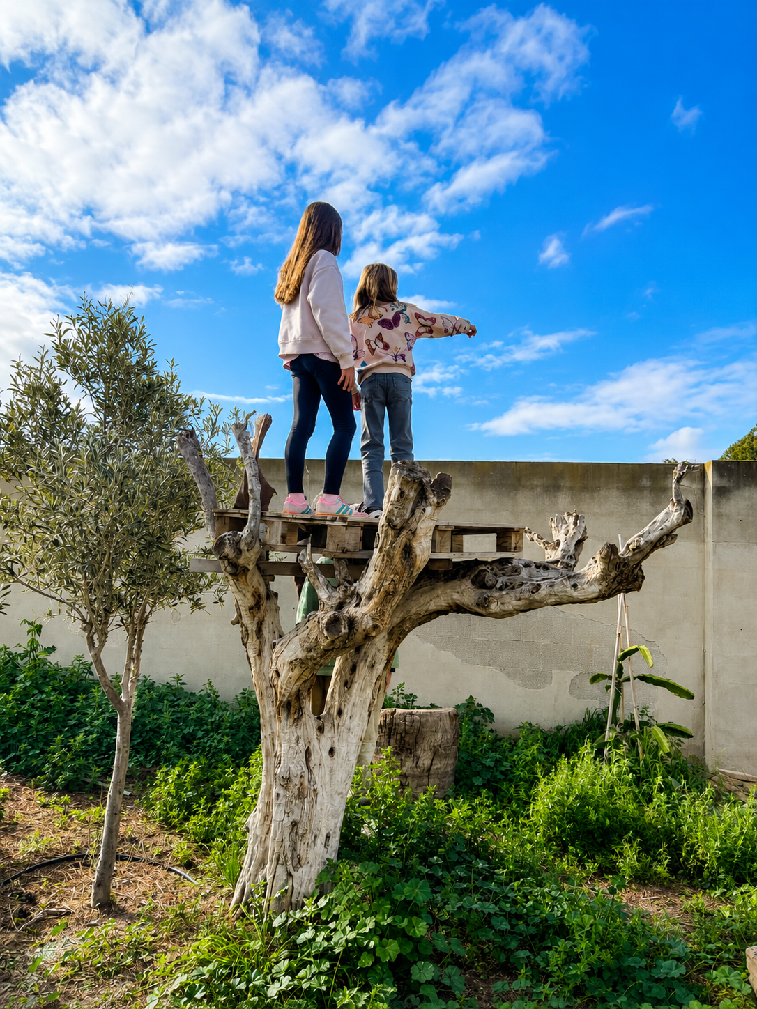 Two girls standing on a treehouse platform in a backyard, looking at the sky with clouds.