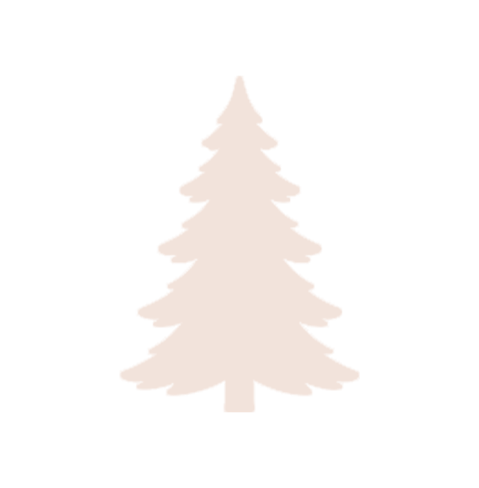 Illustration of a pine tree with a brown outline against a black background.