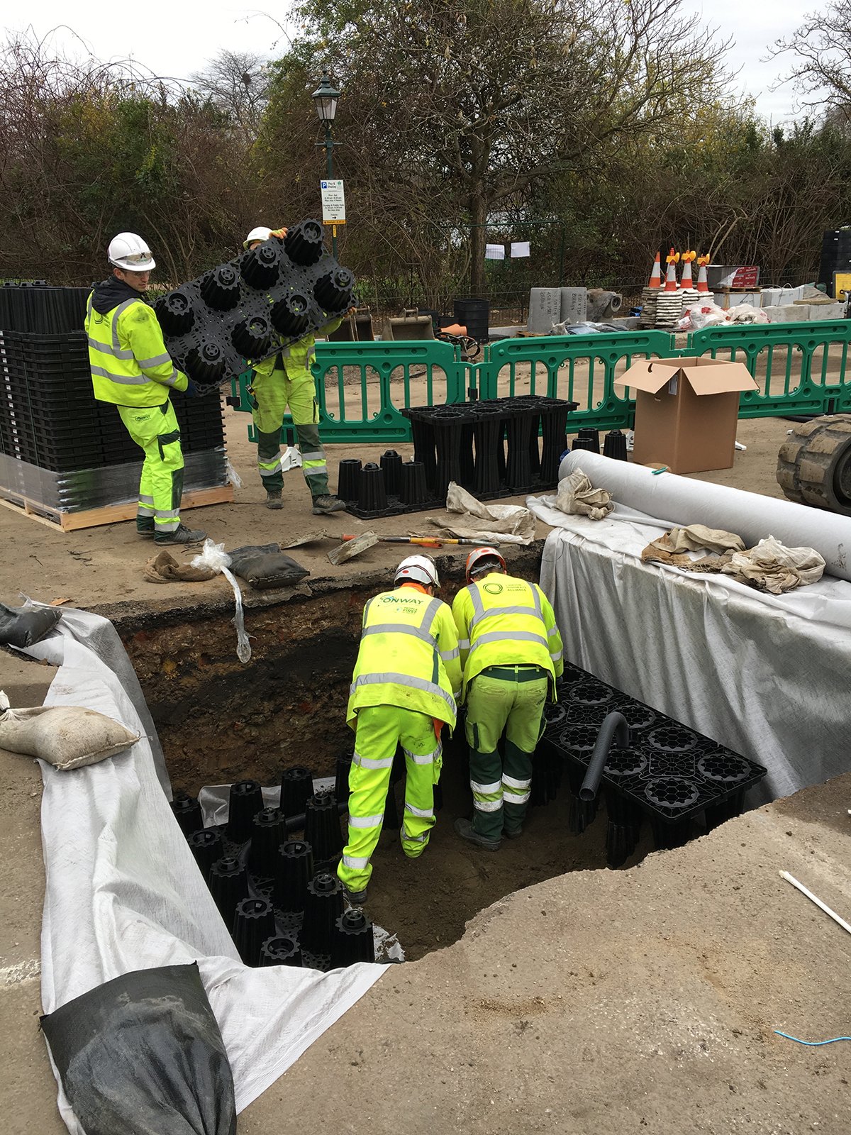 Mature tree planting in Hyde carpark.JPG