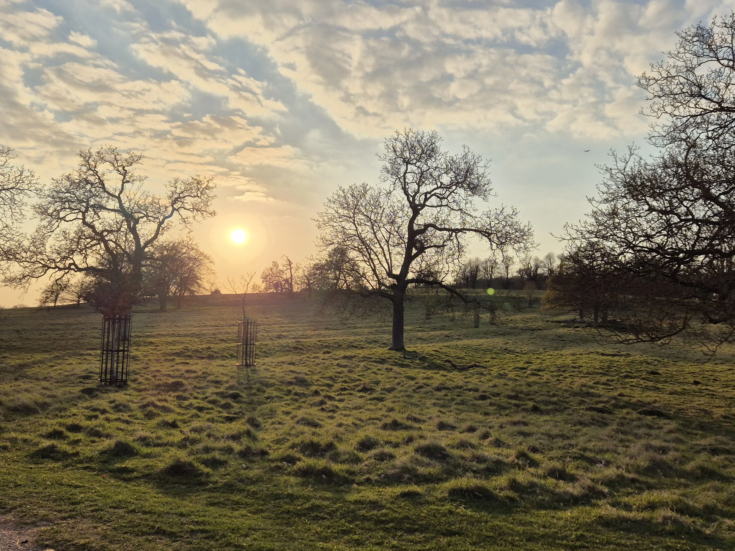 Conserving ridge and furrow + habitat.jpg