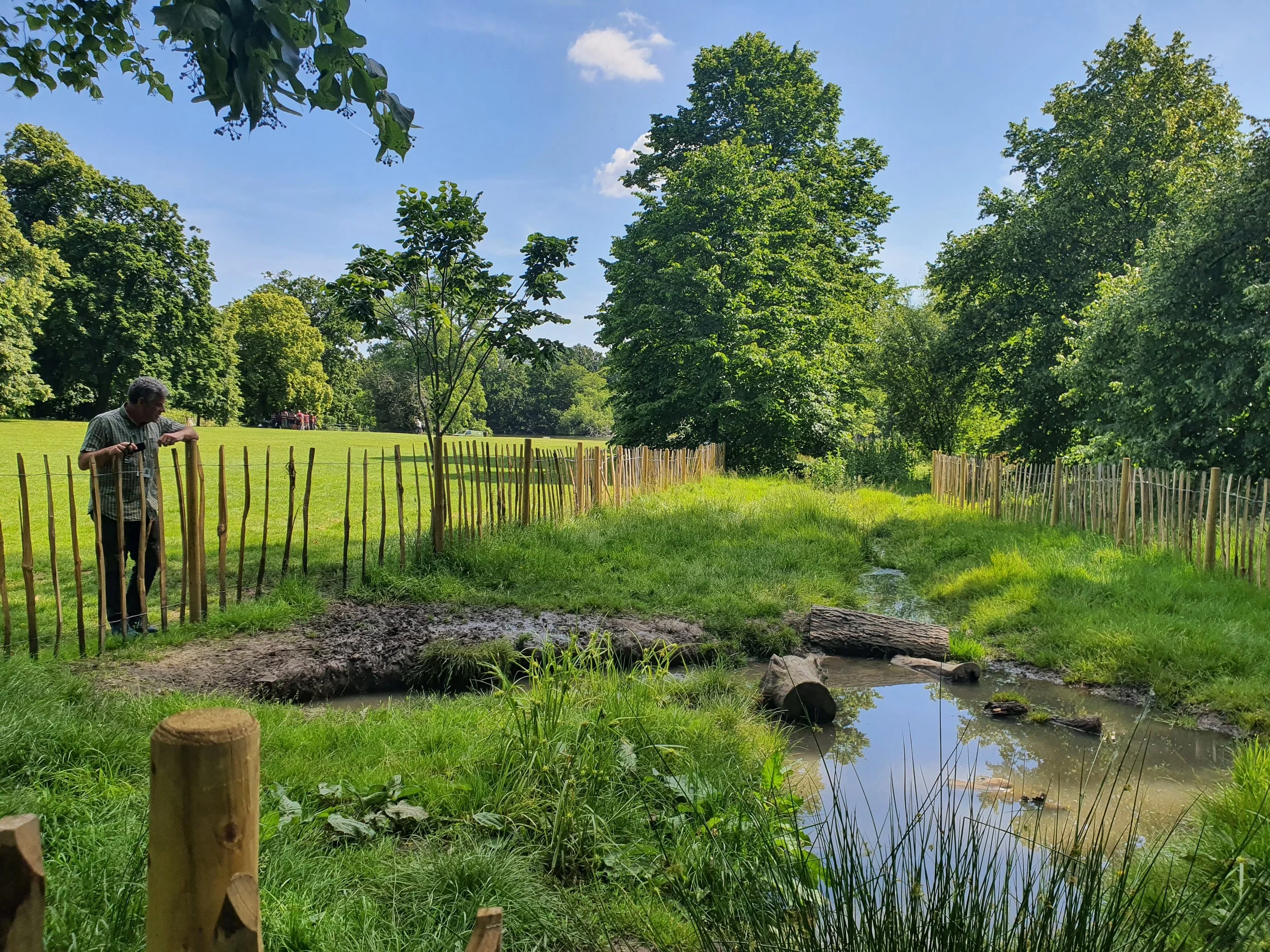 Balancing biodiversity, visitors and the historic landscape.jpg