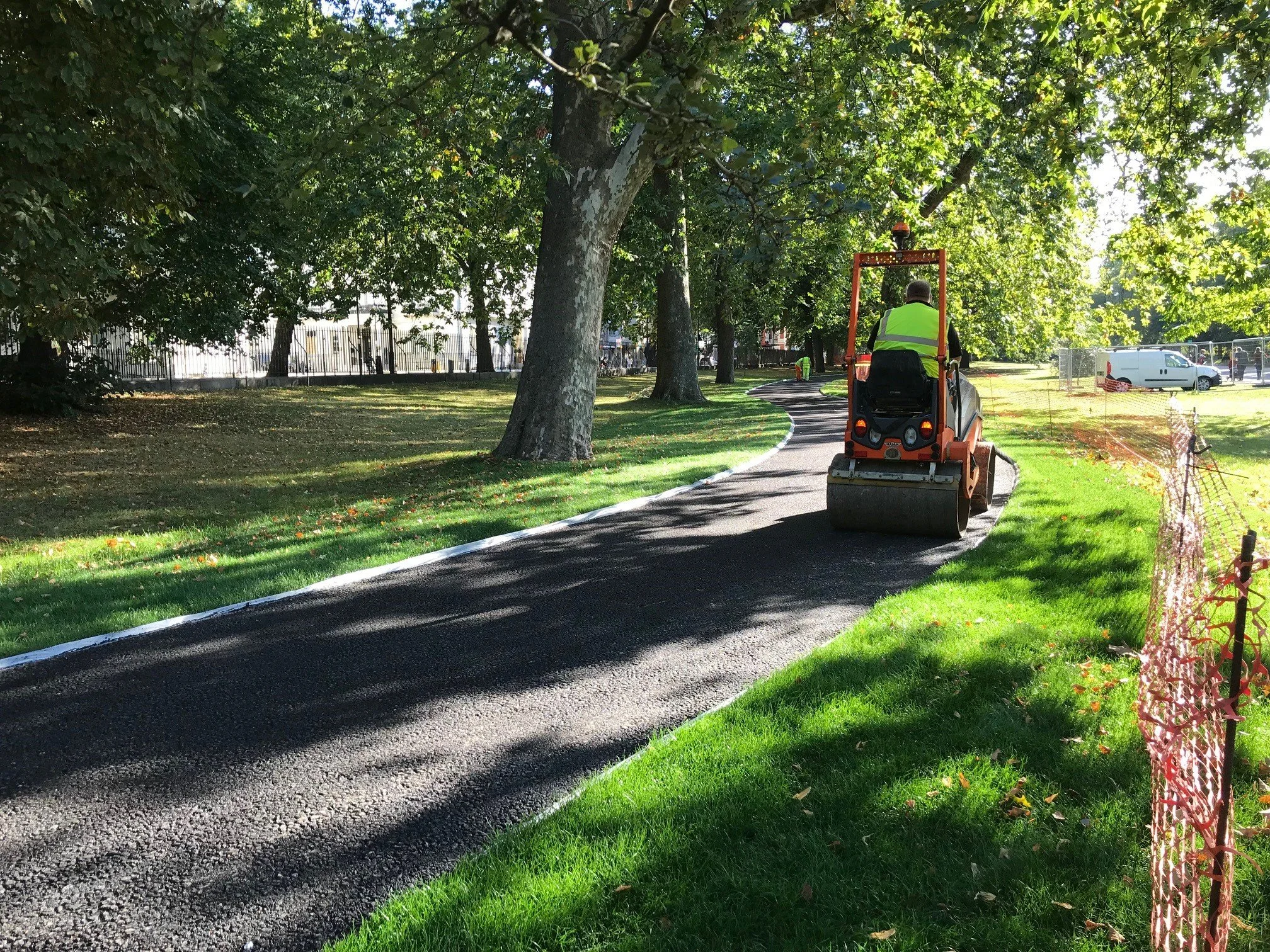 No Dig - Rerouting paths to benefit trees.jpg
