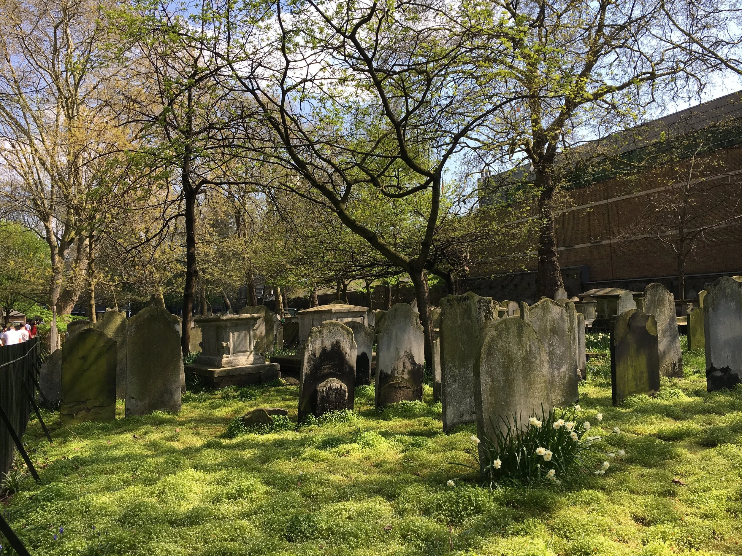 Bunhill as habitat.JPG