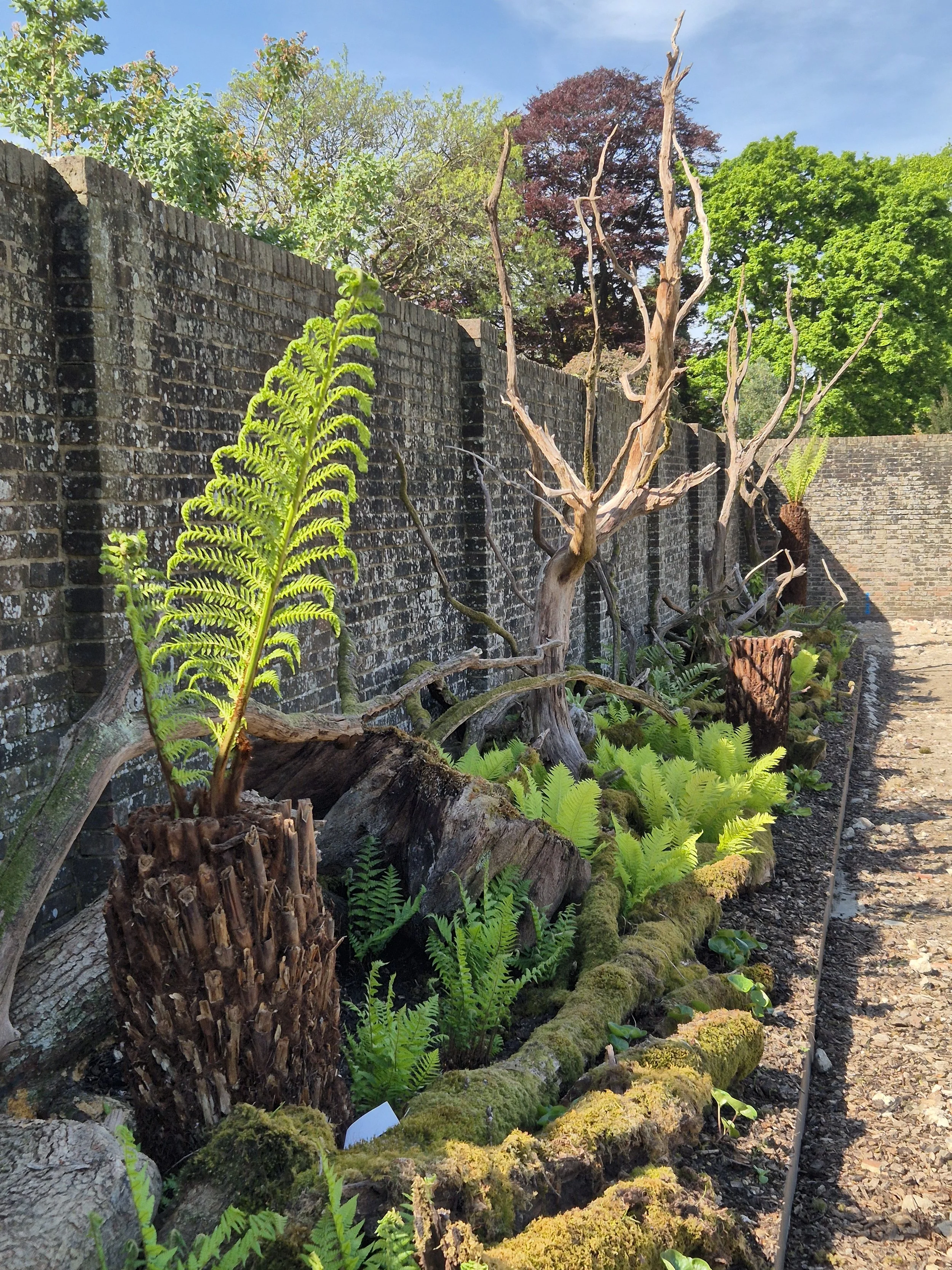 Stumpery in Childrens Walled Garden.jpg
