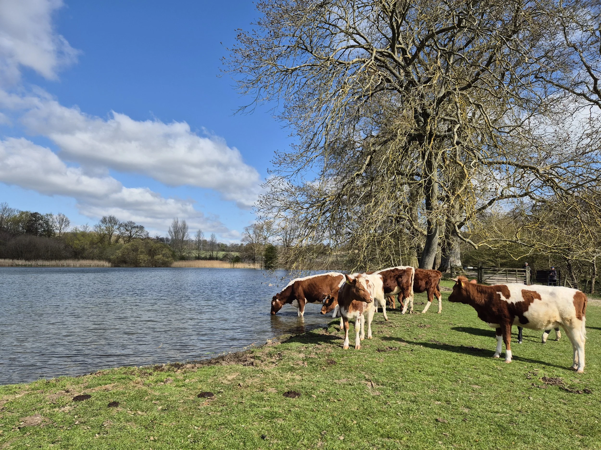 Balancing ecology and agriculture.jpg