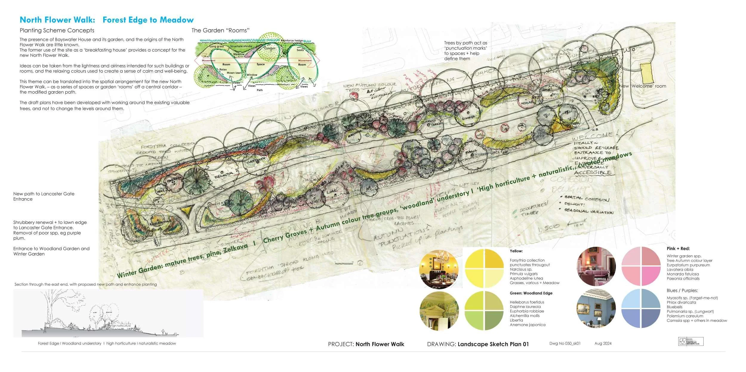 NFW Sketch Design Work in Progress.jpg