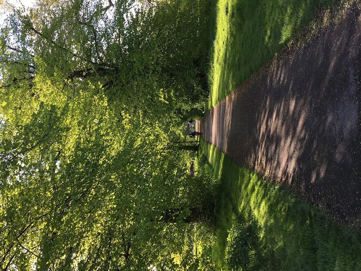 Providing alternative pedestrian routes.jpg