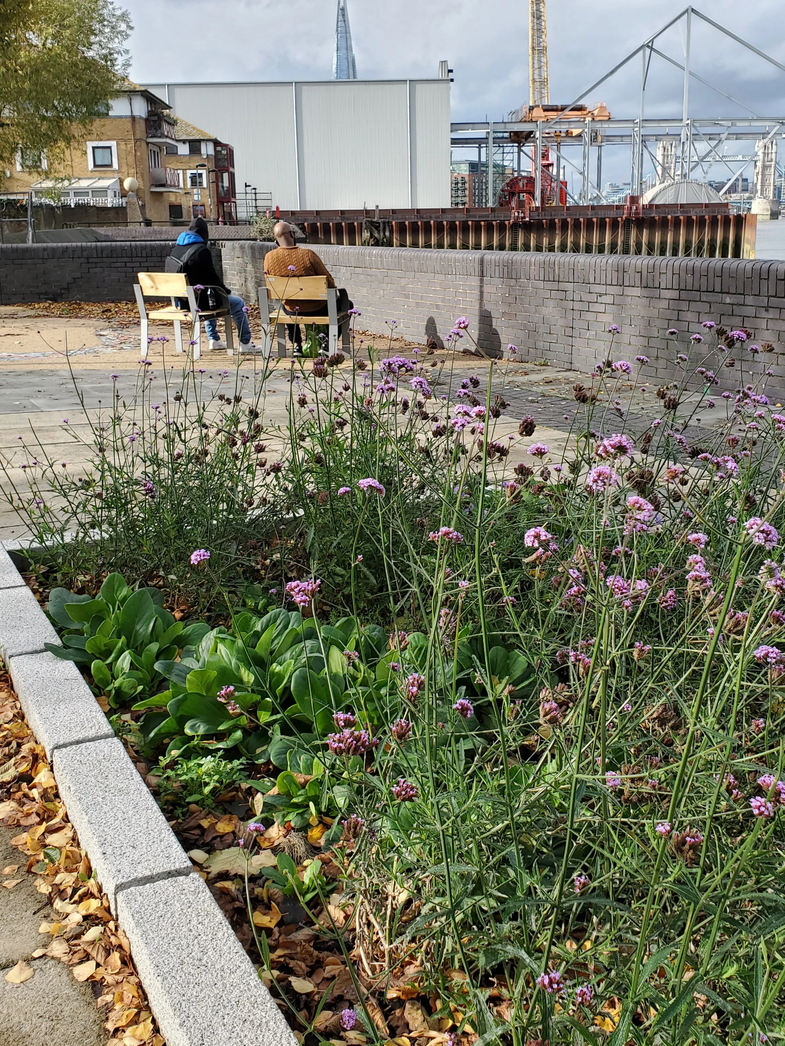 Low maintenance planting and suds.jpg