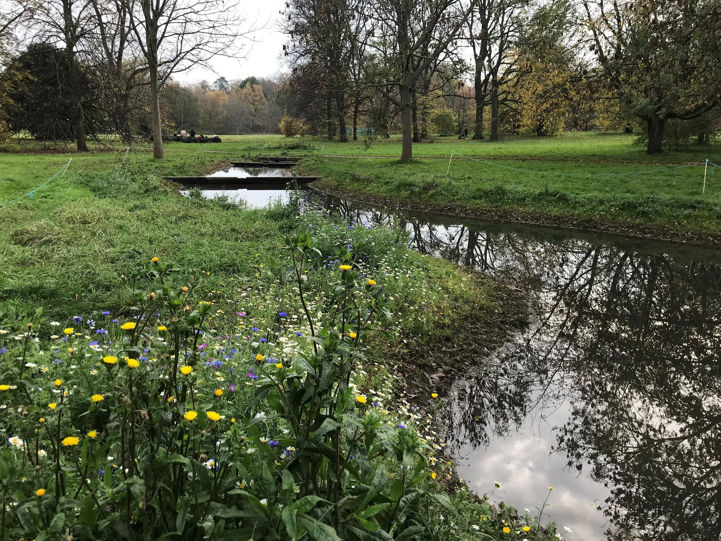 Integrating creative solutions to solve drainage problems while delivering other benefits.jpg