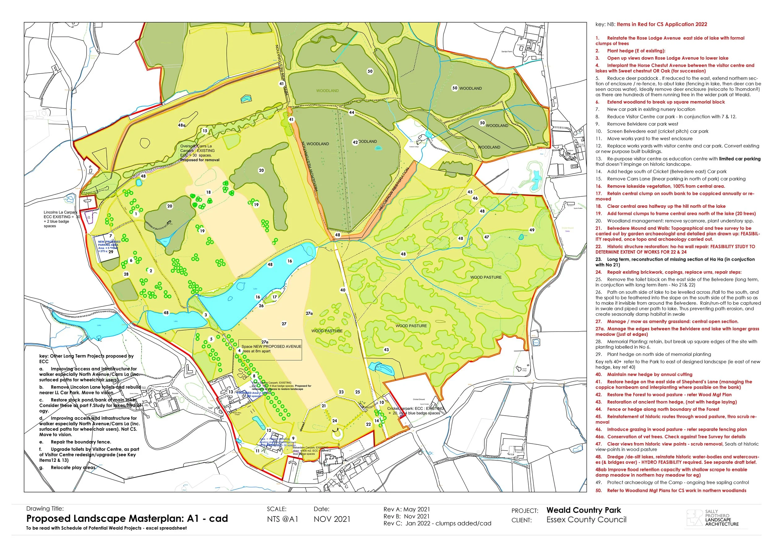 Weald A1 Masterplan cad.jpg