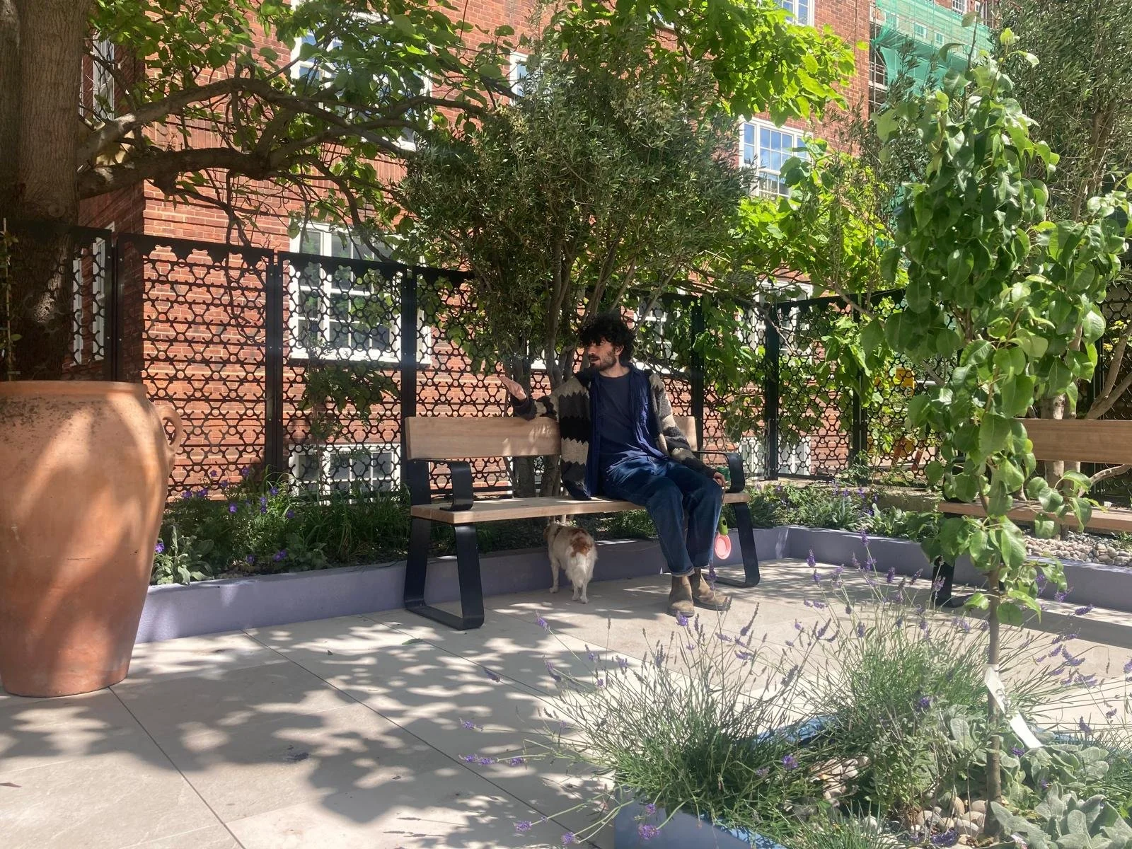 Re-use of olive trees provide shade.jpeg