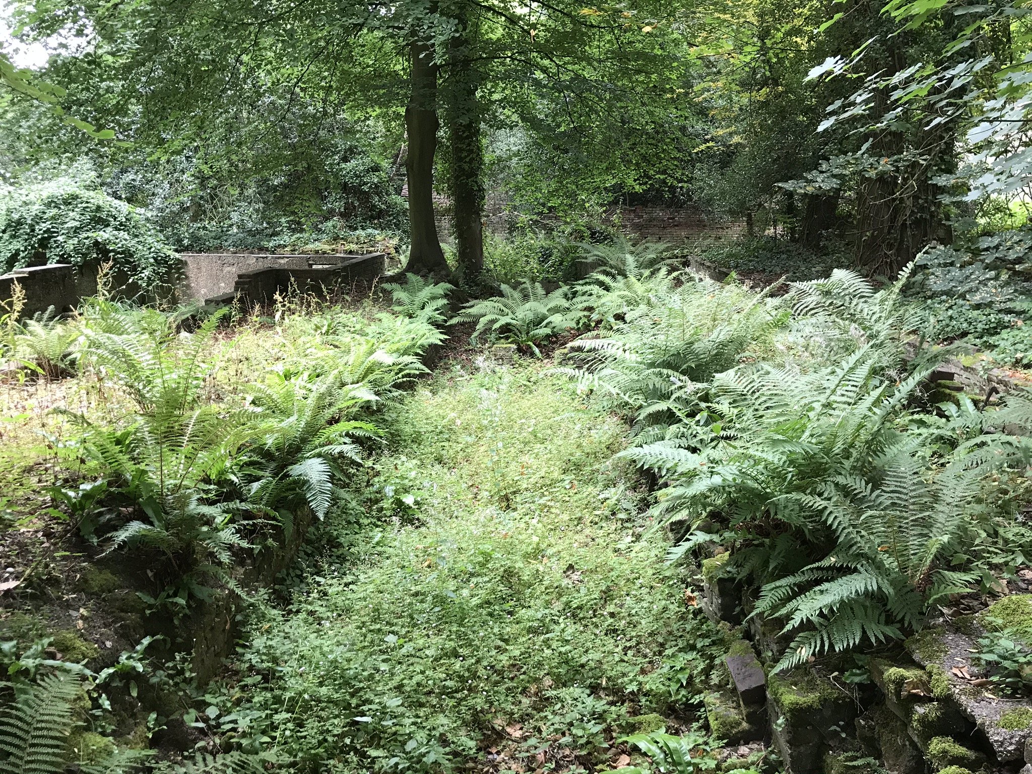 Fernery Greenhouses.JPEG