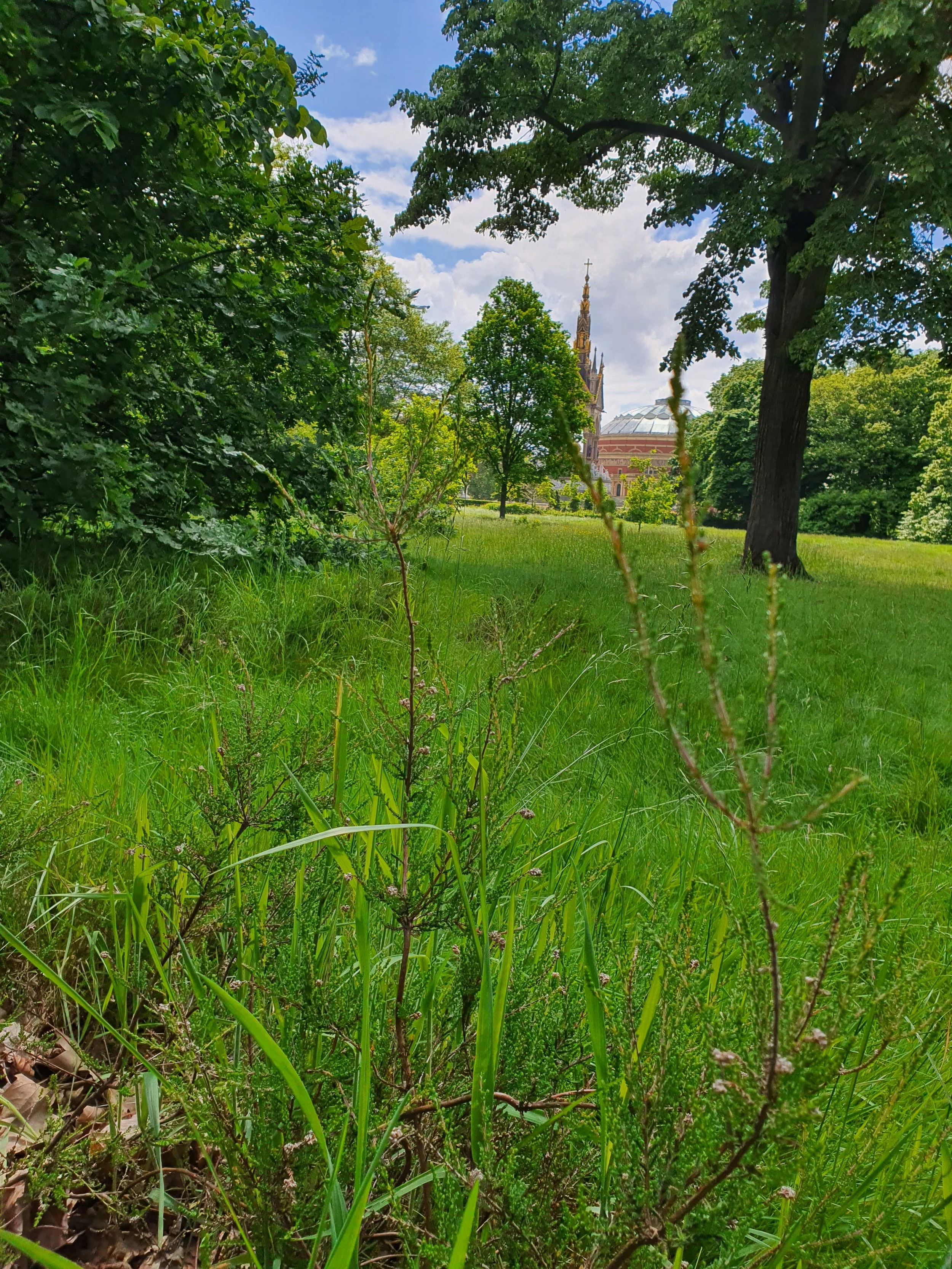 Heath establishment in historic urban park.jpg