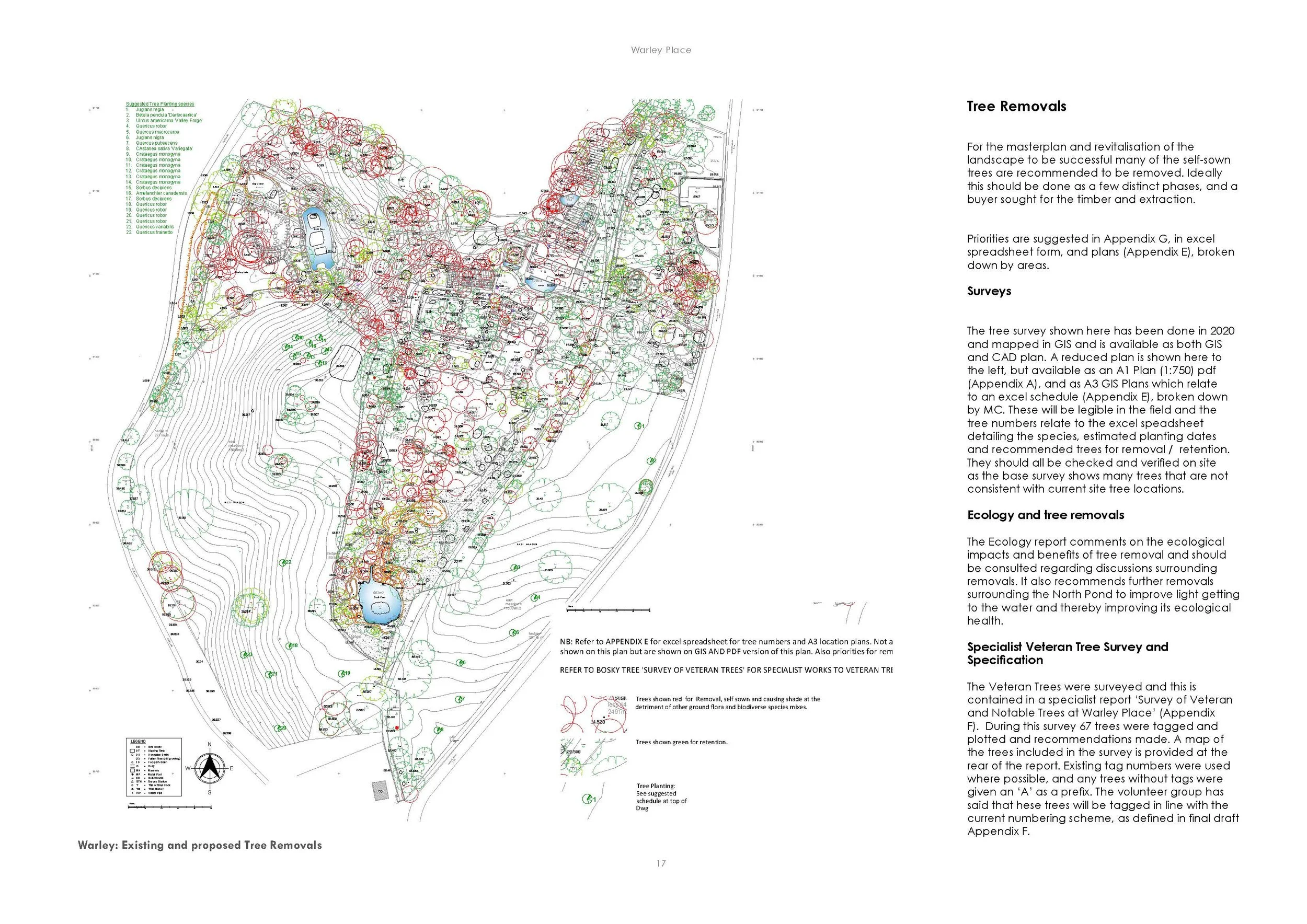 Warley Place  Tree Removals Plan.jpg