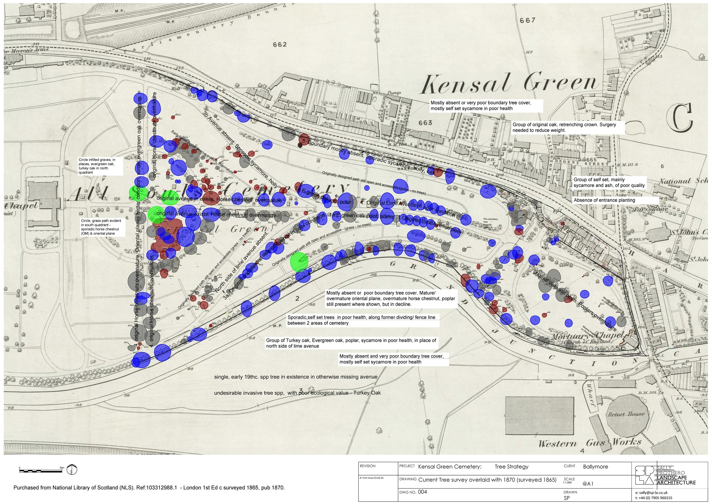 2 Tree Survey + Historic Plan Overlay-Analysis.jpg