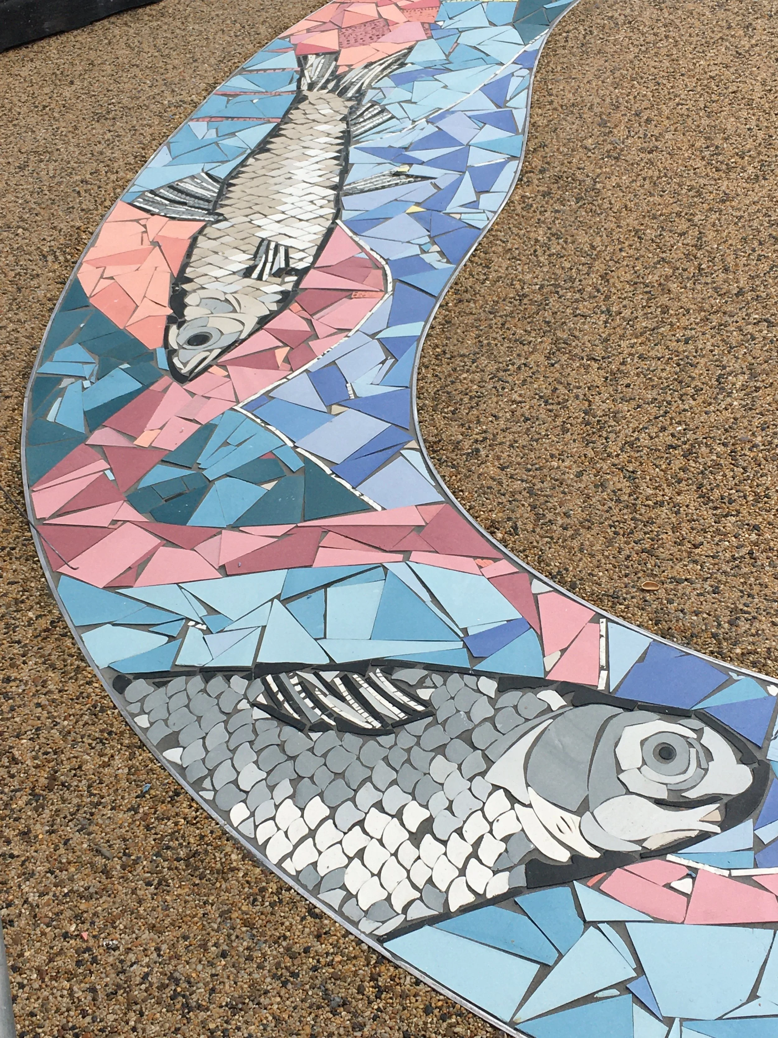 Fish in situ.JPG