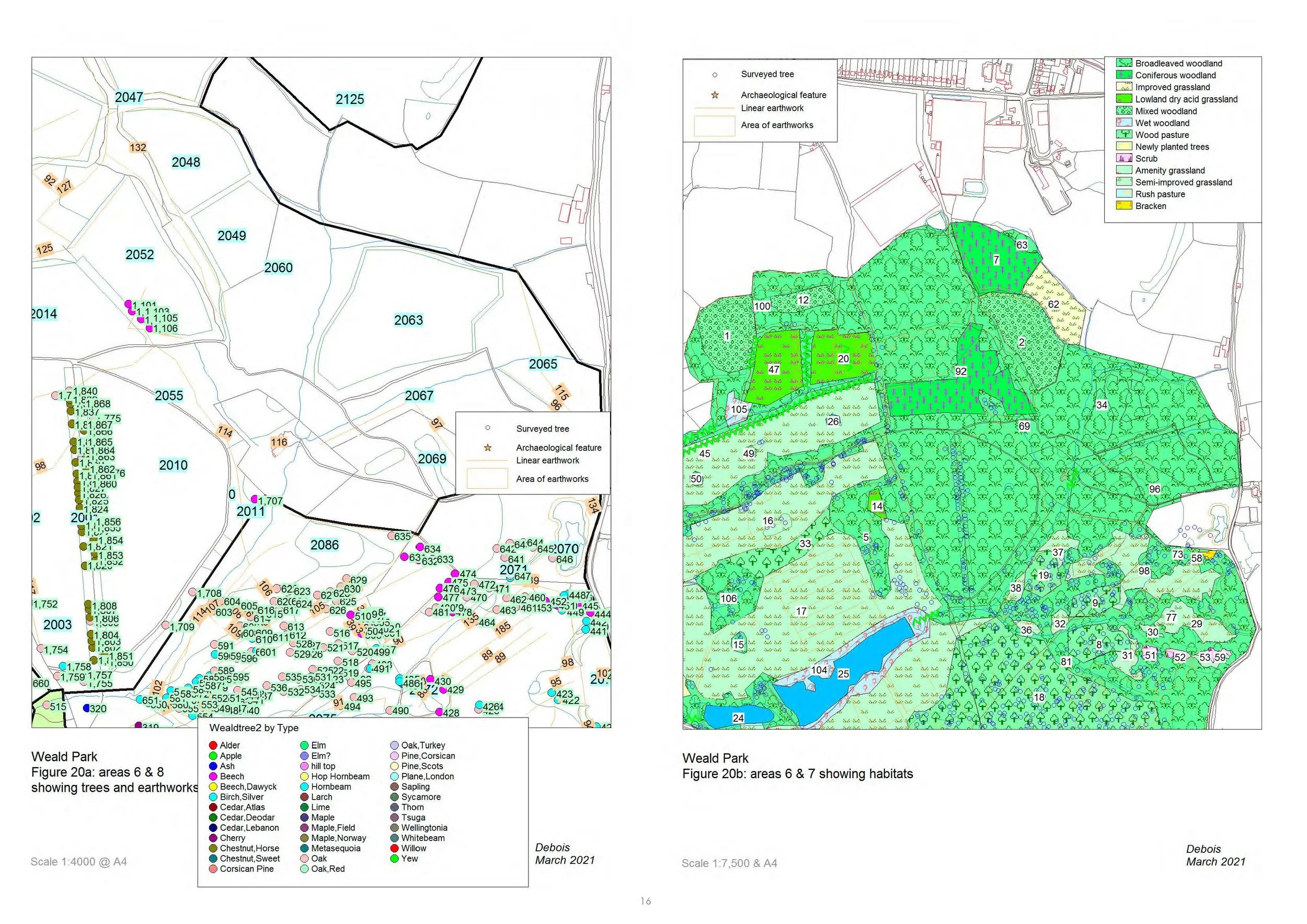 Weald PMP A3_extract Tree analysis.jpg