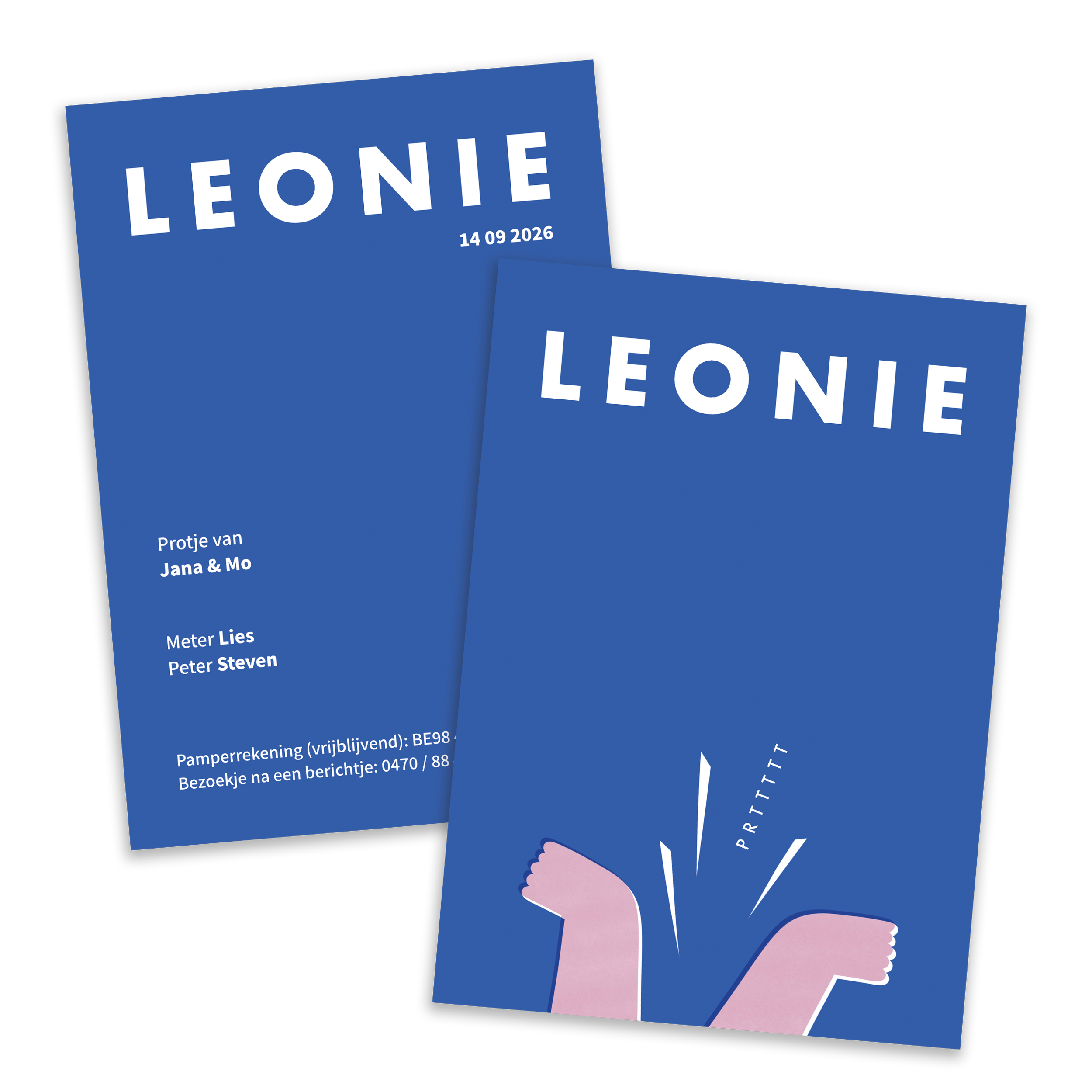 website mockups leonie.png