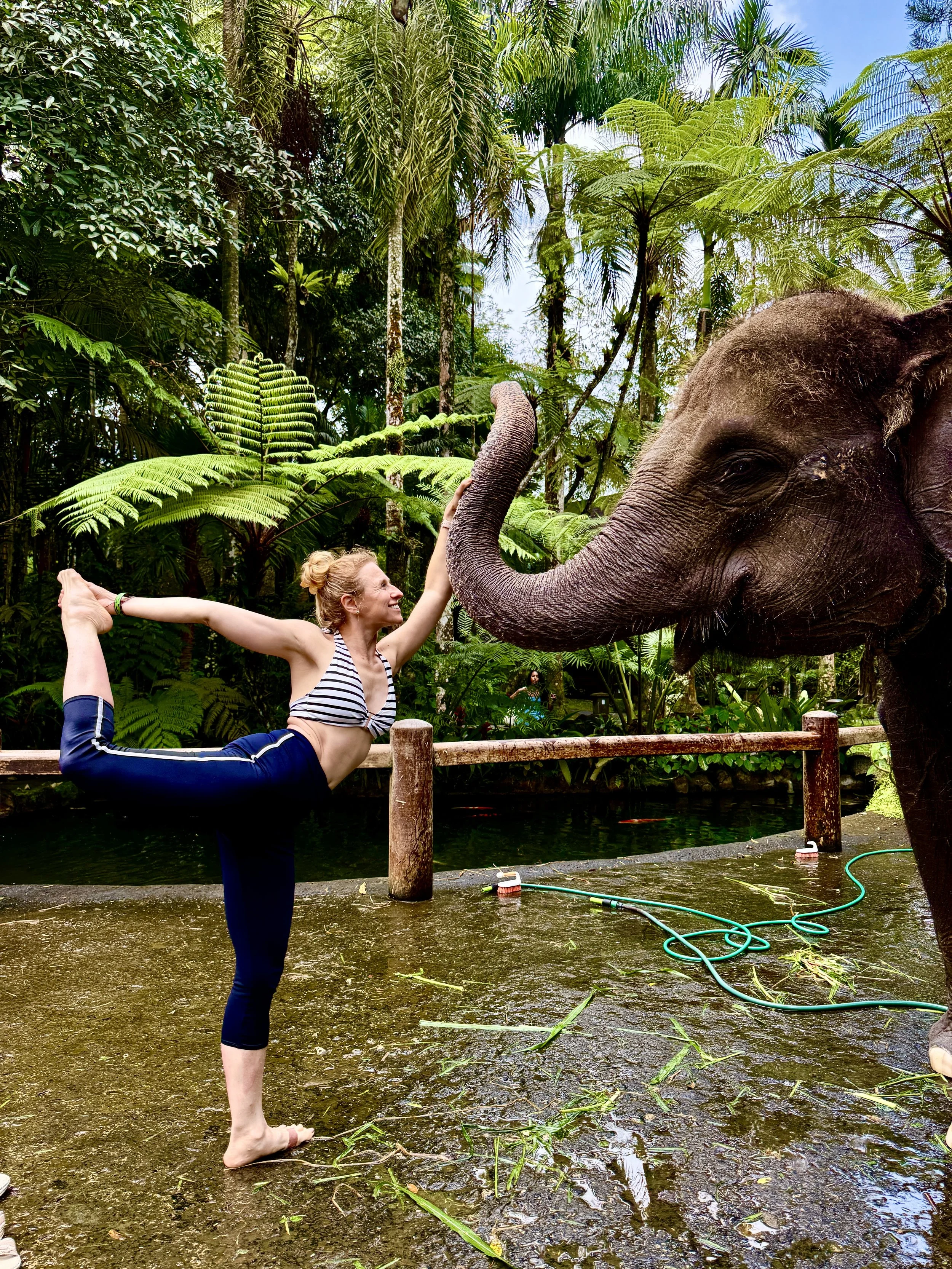 Janet and an elephant