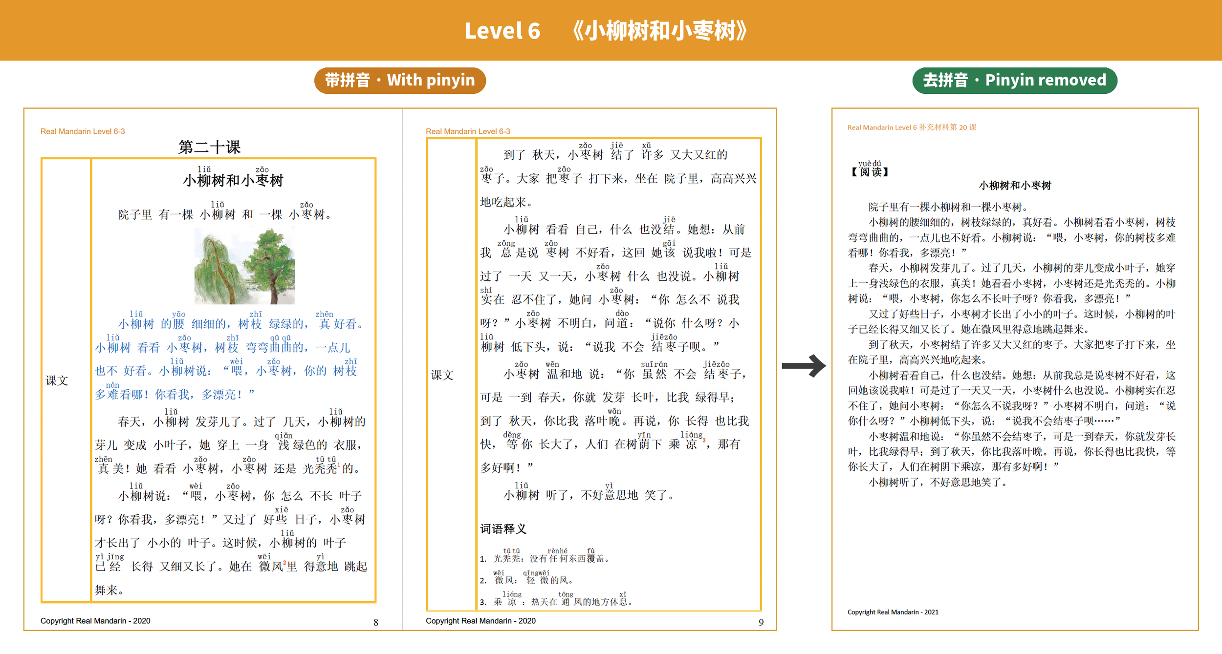 My Child Can’t Read Chinese Without Pinyin — What Do I Do?