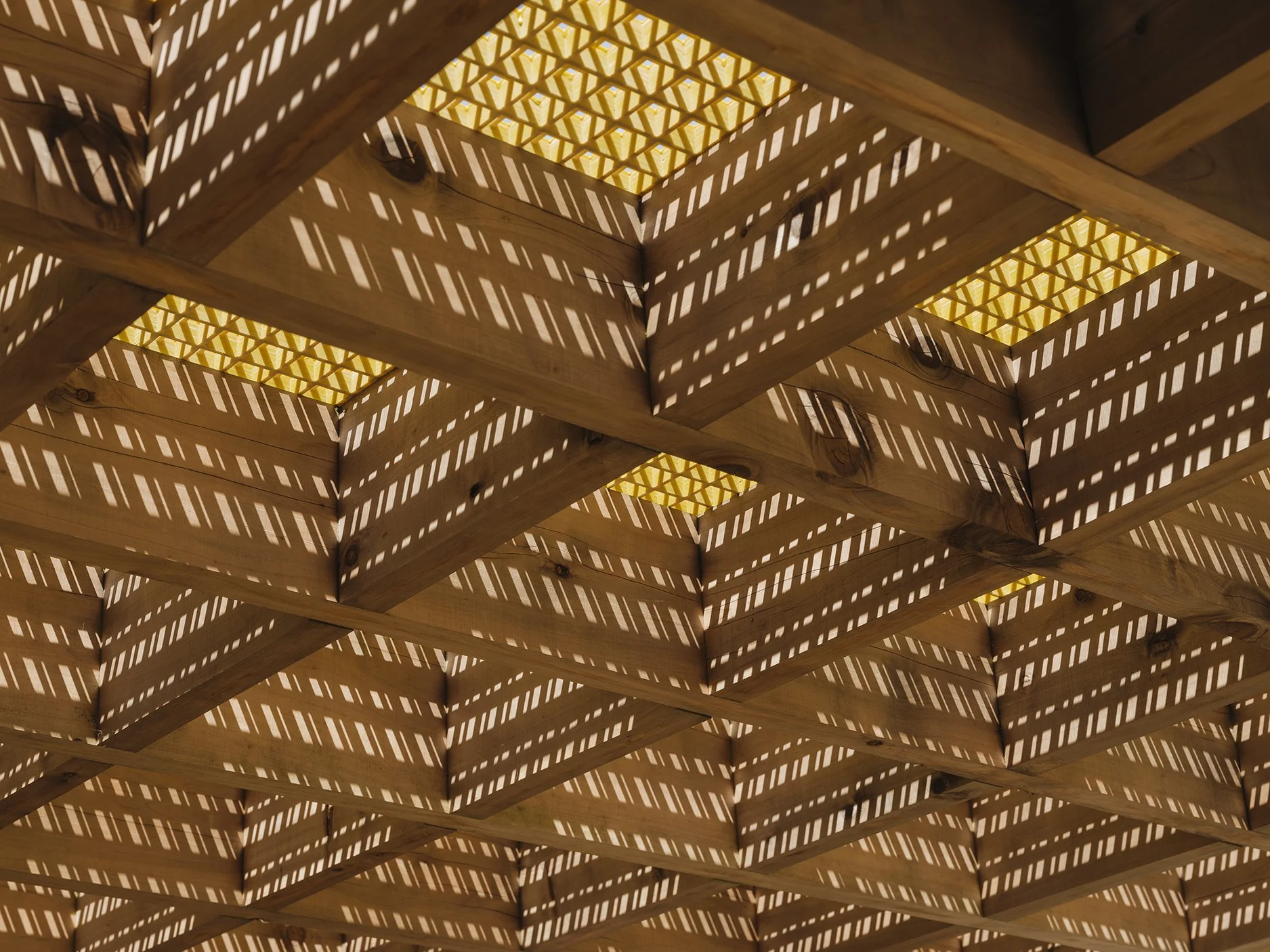 Spacecraft Architects-SCA-NGUNGURU-1225-4012.jpg
